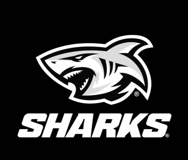 A stylized logo of a fierce-looking shark with sharp teeth, depicted in shades of gray, black, and white, on a black background.