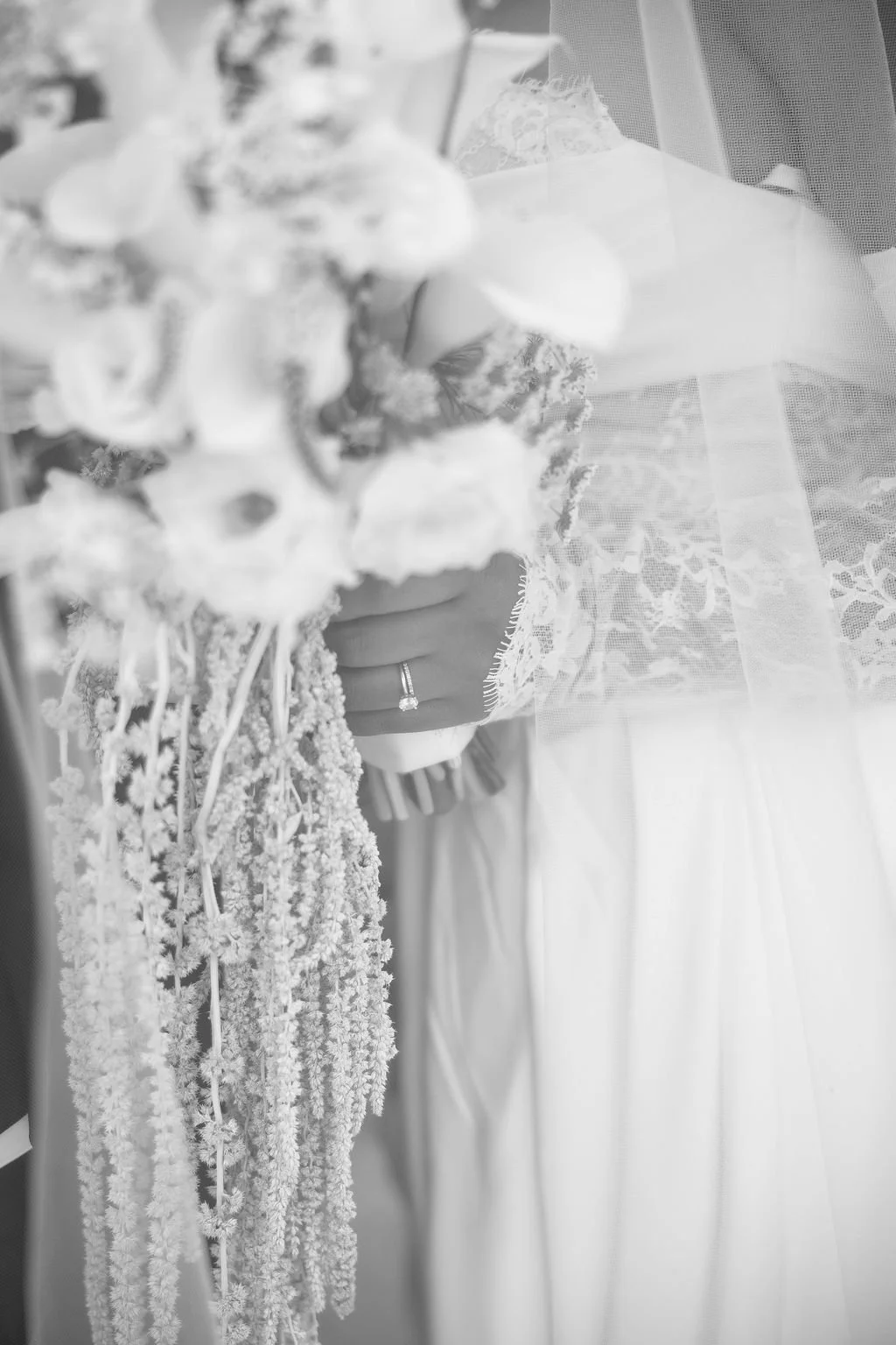 JX3A7109-2.jpg
