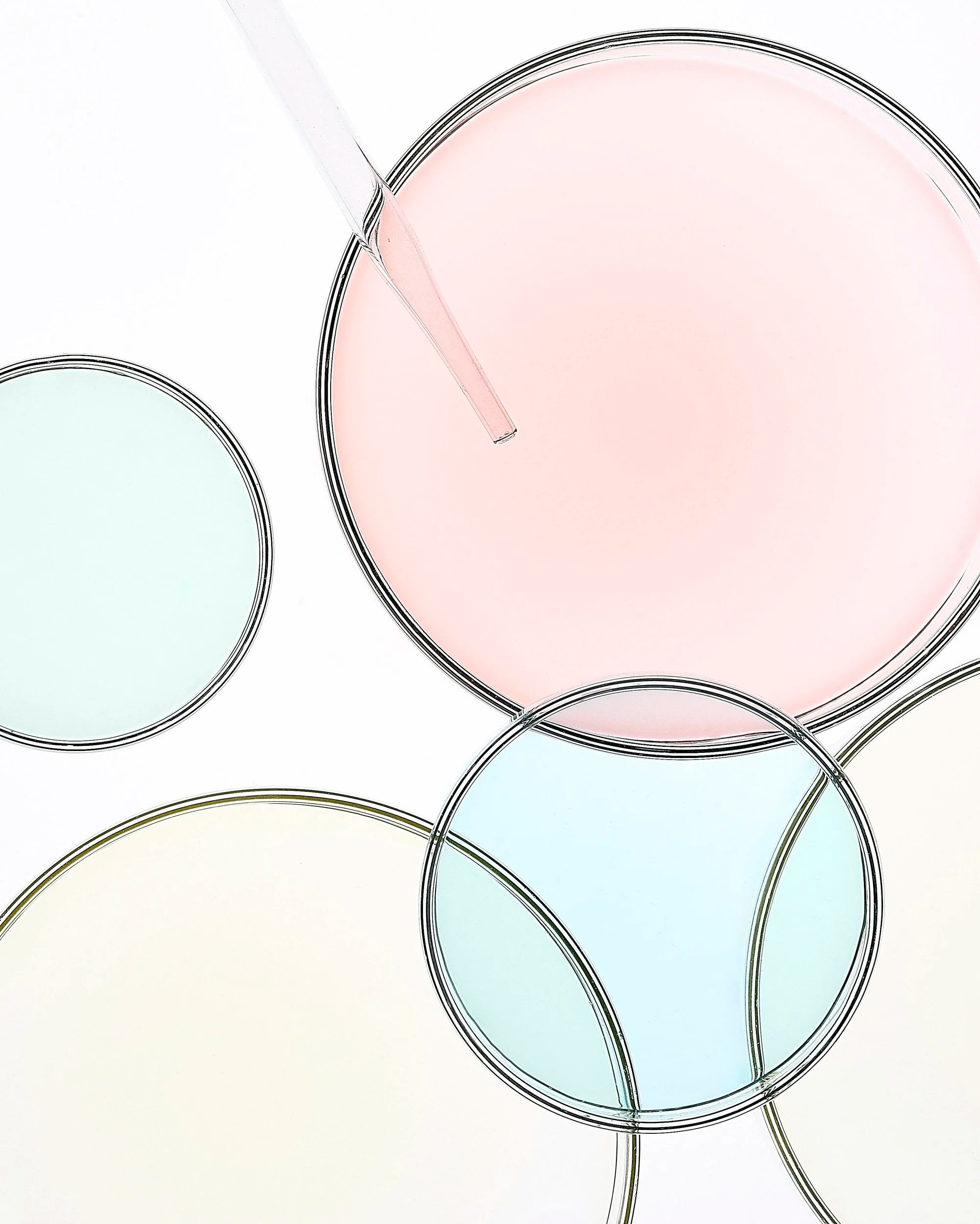 SHOT_03_CROP2.jpg
