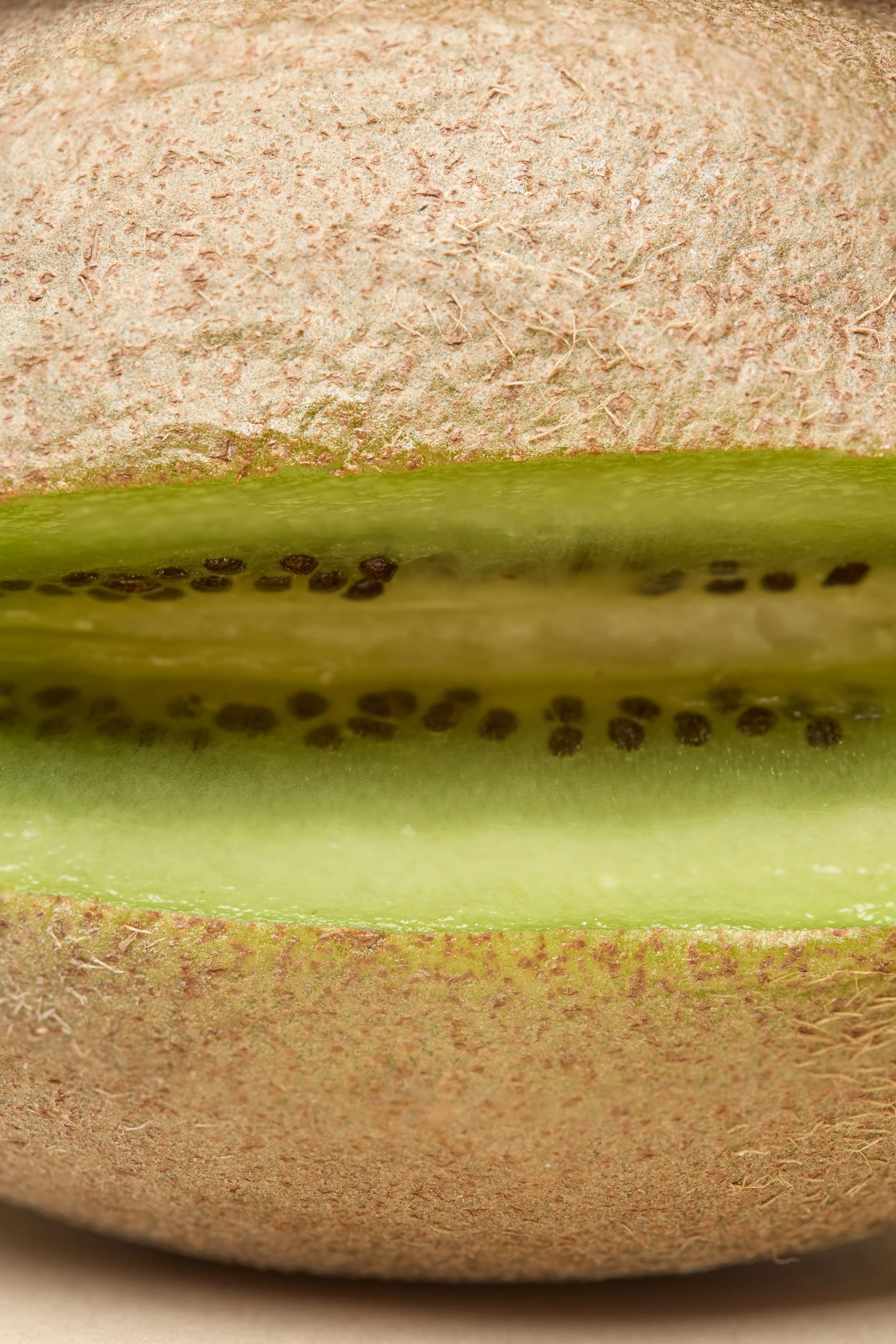 kiwi.jpg