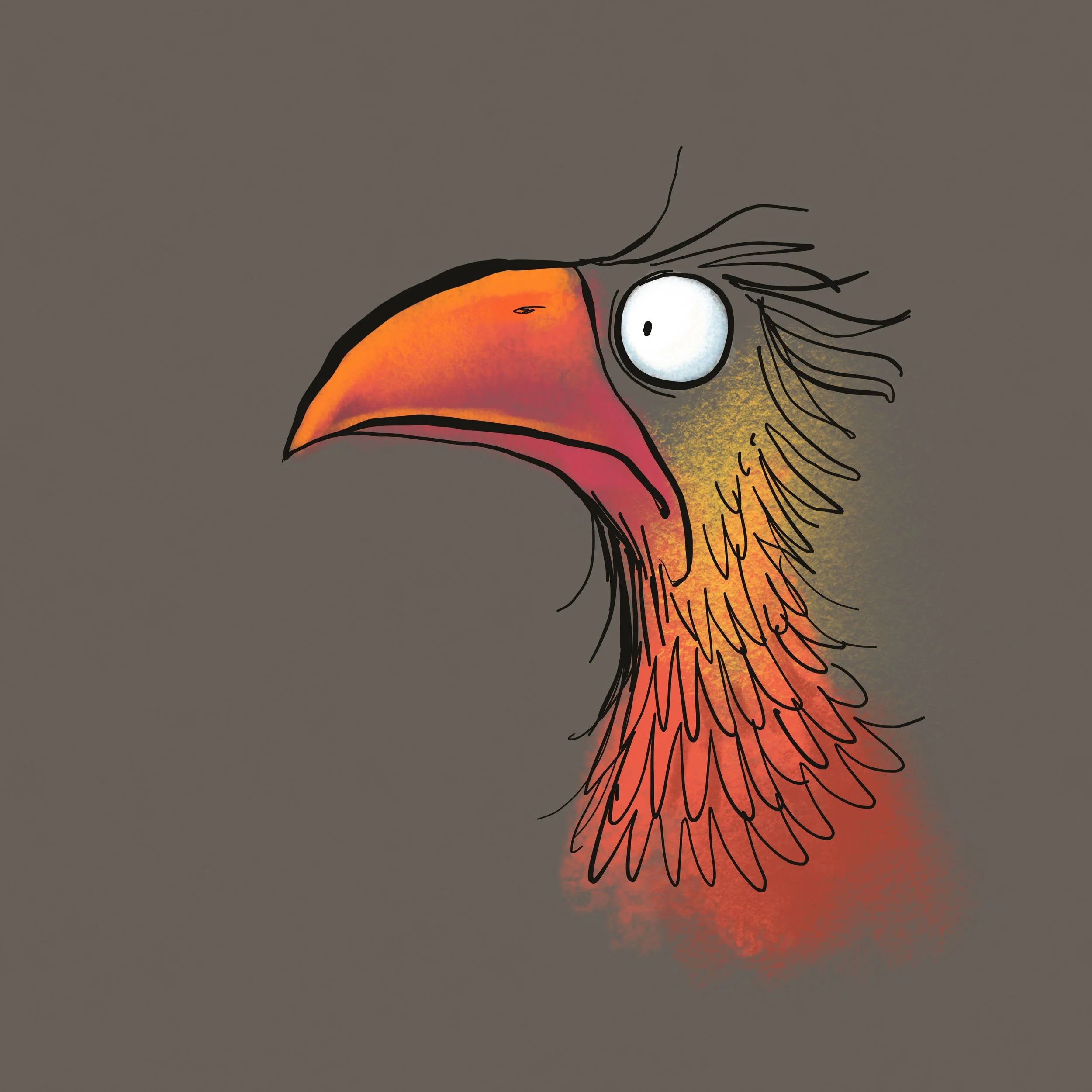 scruffy bird2 copy.jpg