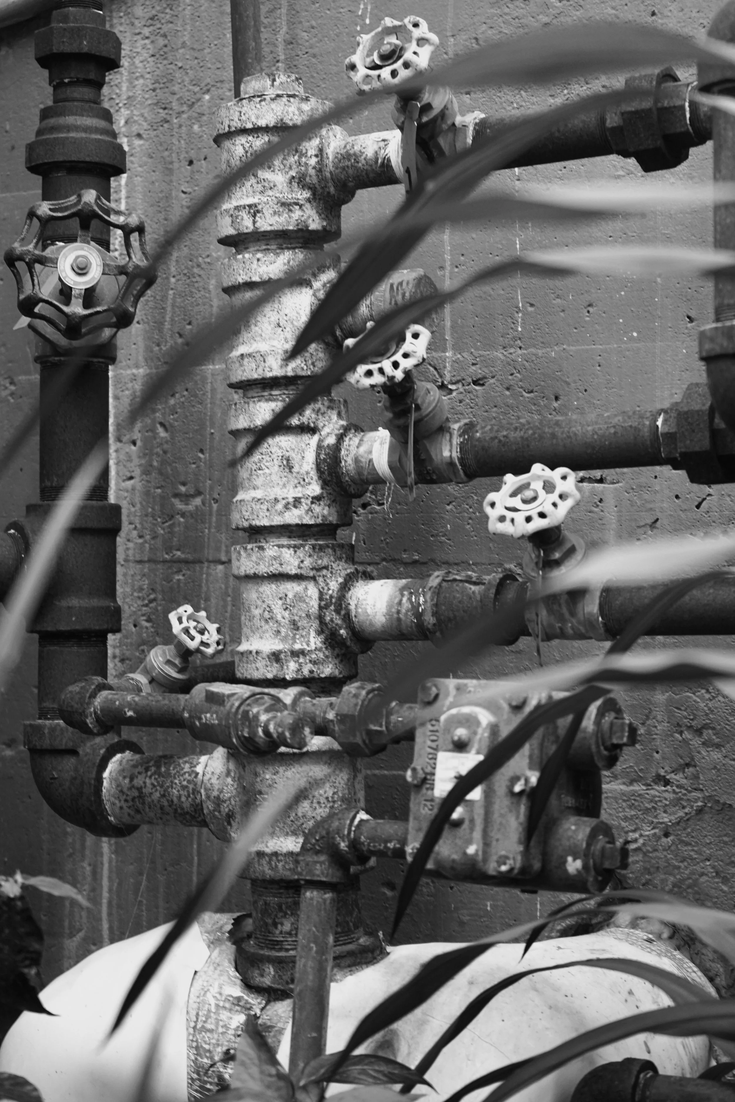 A black and white photo of an old, weathered plumbing or industrial pipe system with several valves and fittings mounted on a brick wall, with some plant leaves in the foreground.