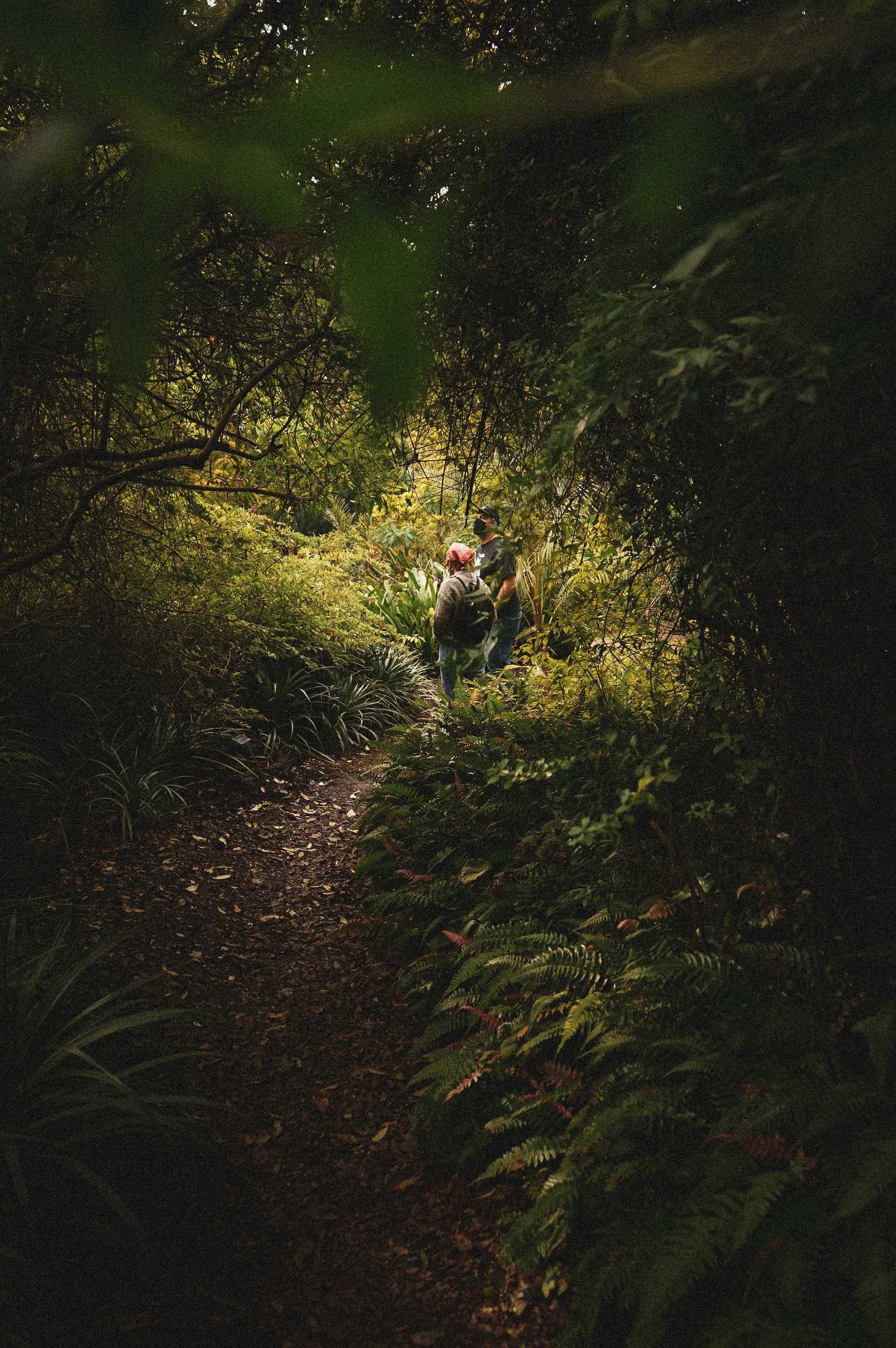 Two people walking on a narrow dirt trail through dense green foliage in a lush forest.