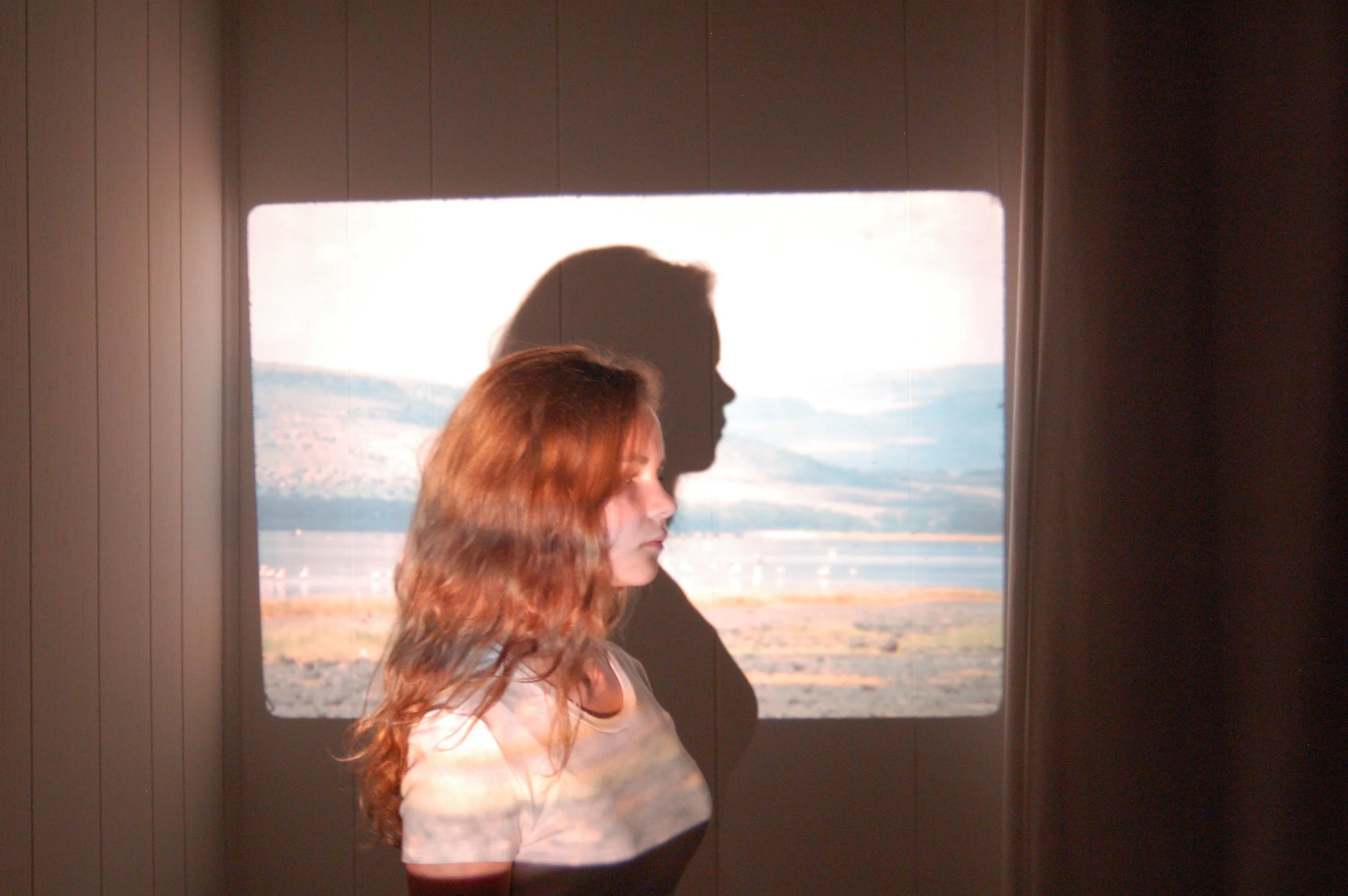 A young woman with reddish-brown hair standing indoors, with her shadow cast on the wall behind her. A landscape with mountains and water is visible through a window or screen in the background.