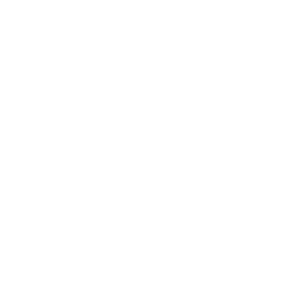 Logo for Project VIDA with a cross and dove symbol, and various community-related icons including a house, eye, and caduceus, with the tagline 'Life in Community' in English and Spanish.