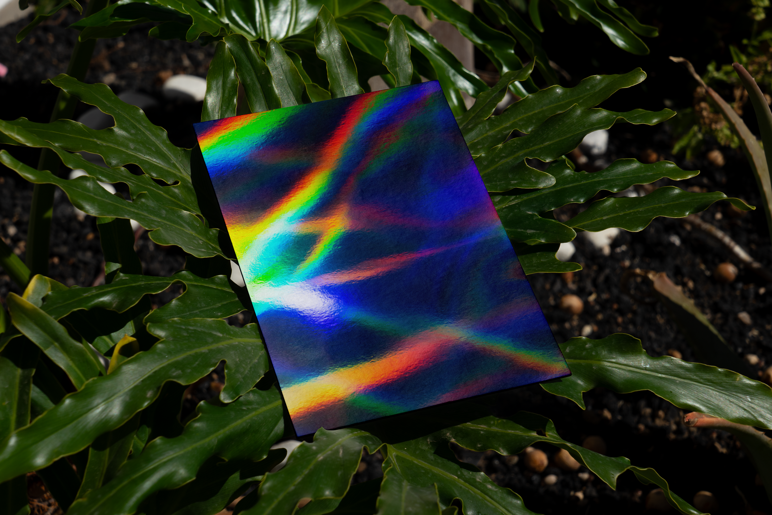 FREE Hologram Texture Pack