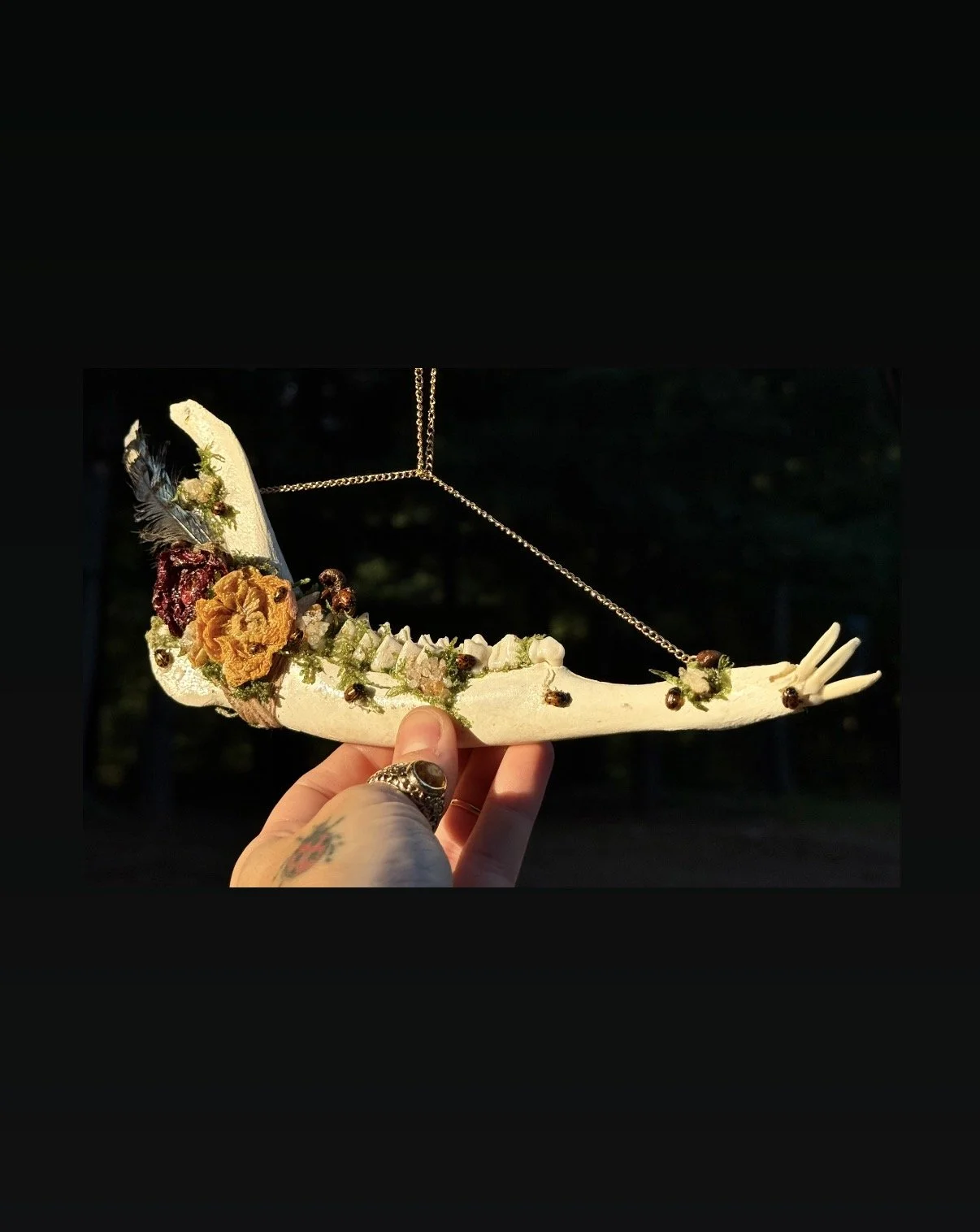 Bone Bouquet