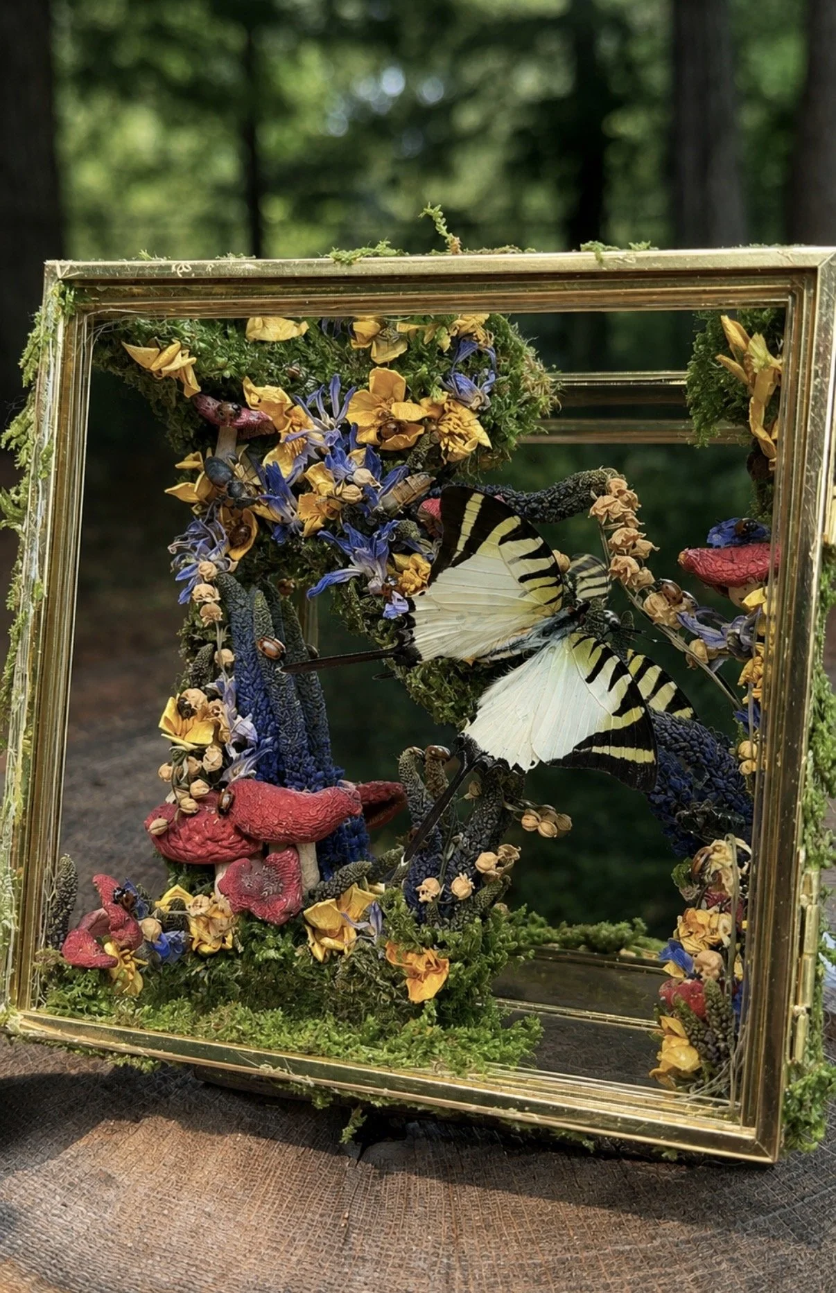 Mirrored Shadow Box