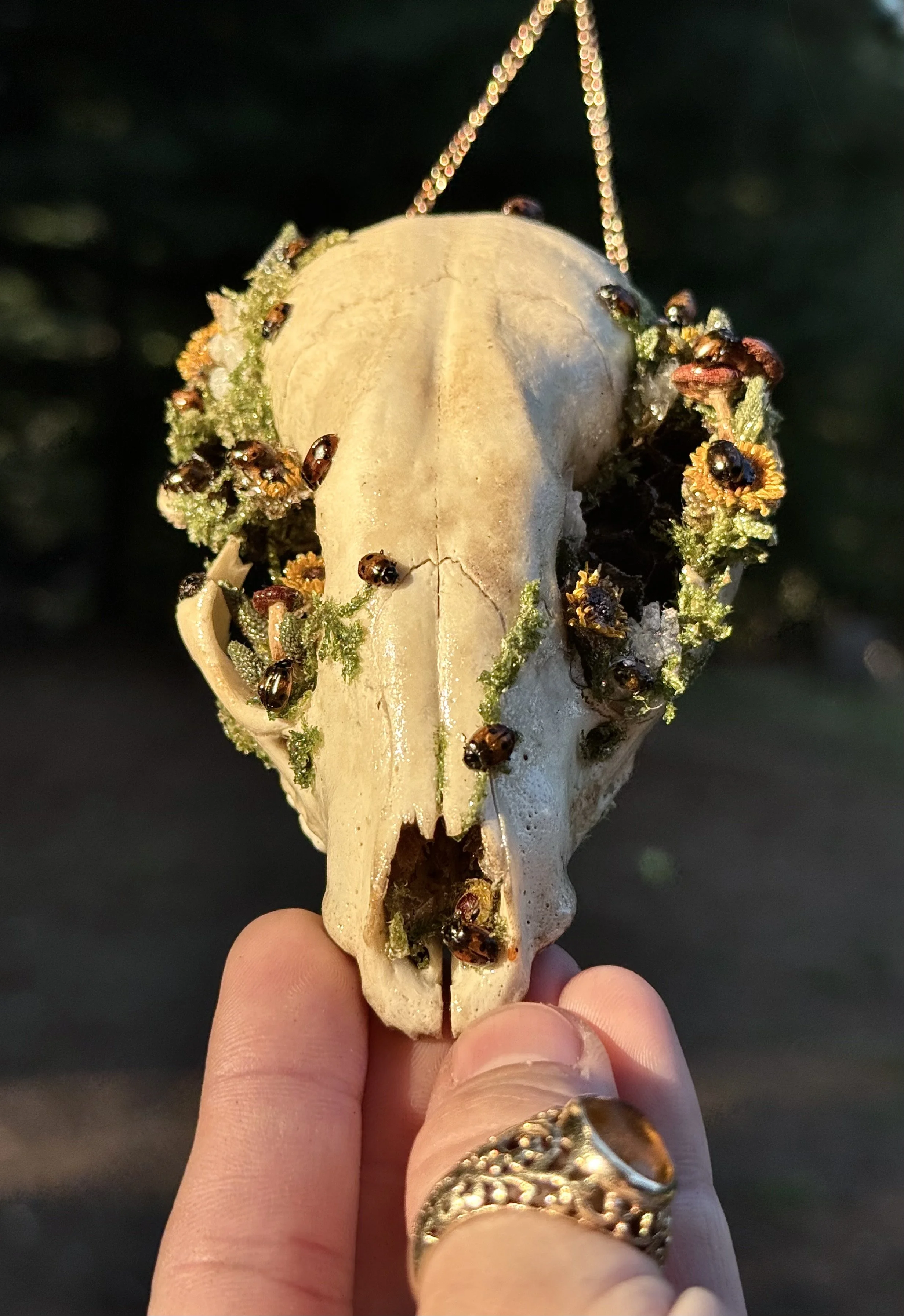 Bone Bouquet