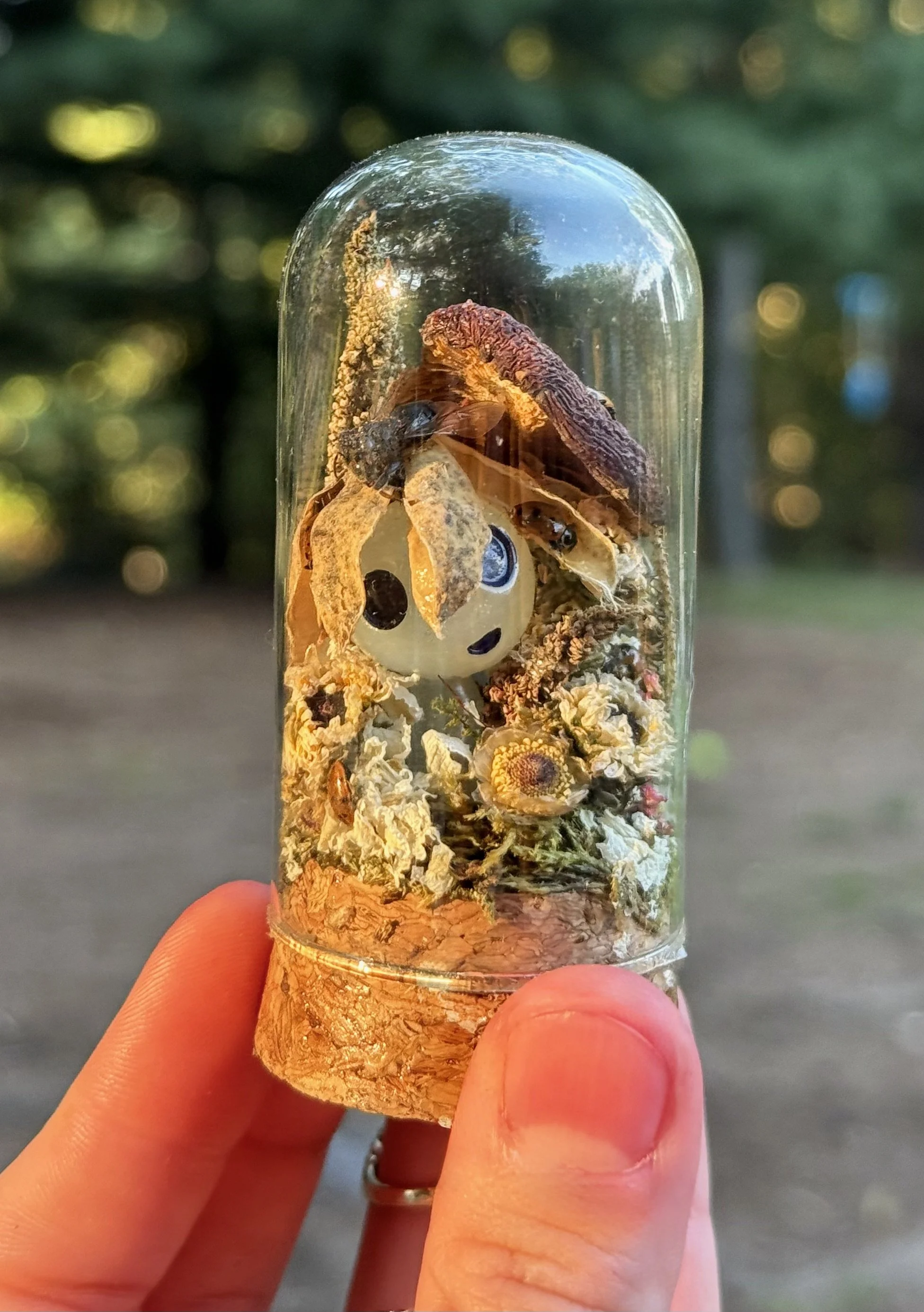 Intentional Terrarium