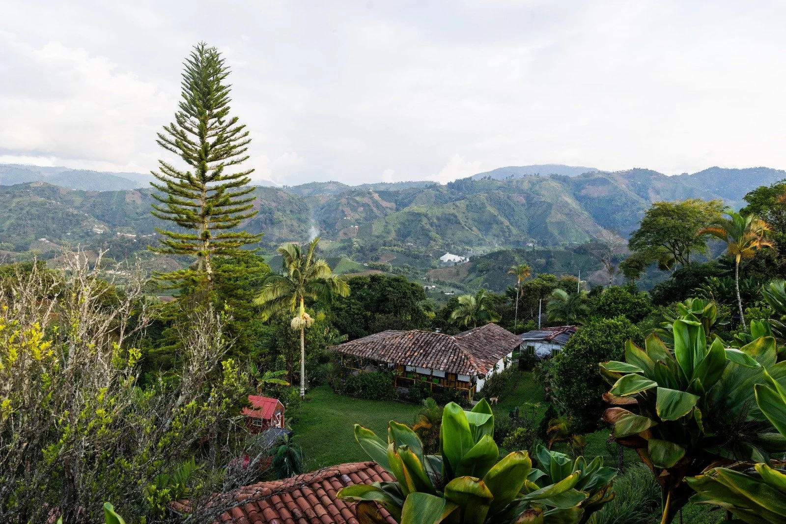 WhatsApp Image 2025-05-31 at 19.48.38.jpeg