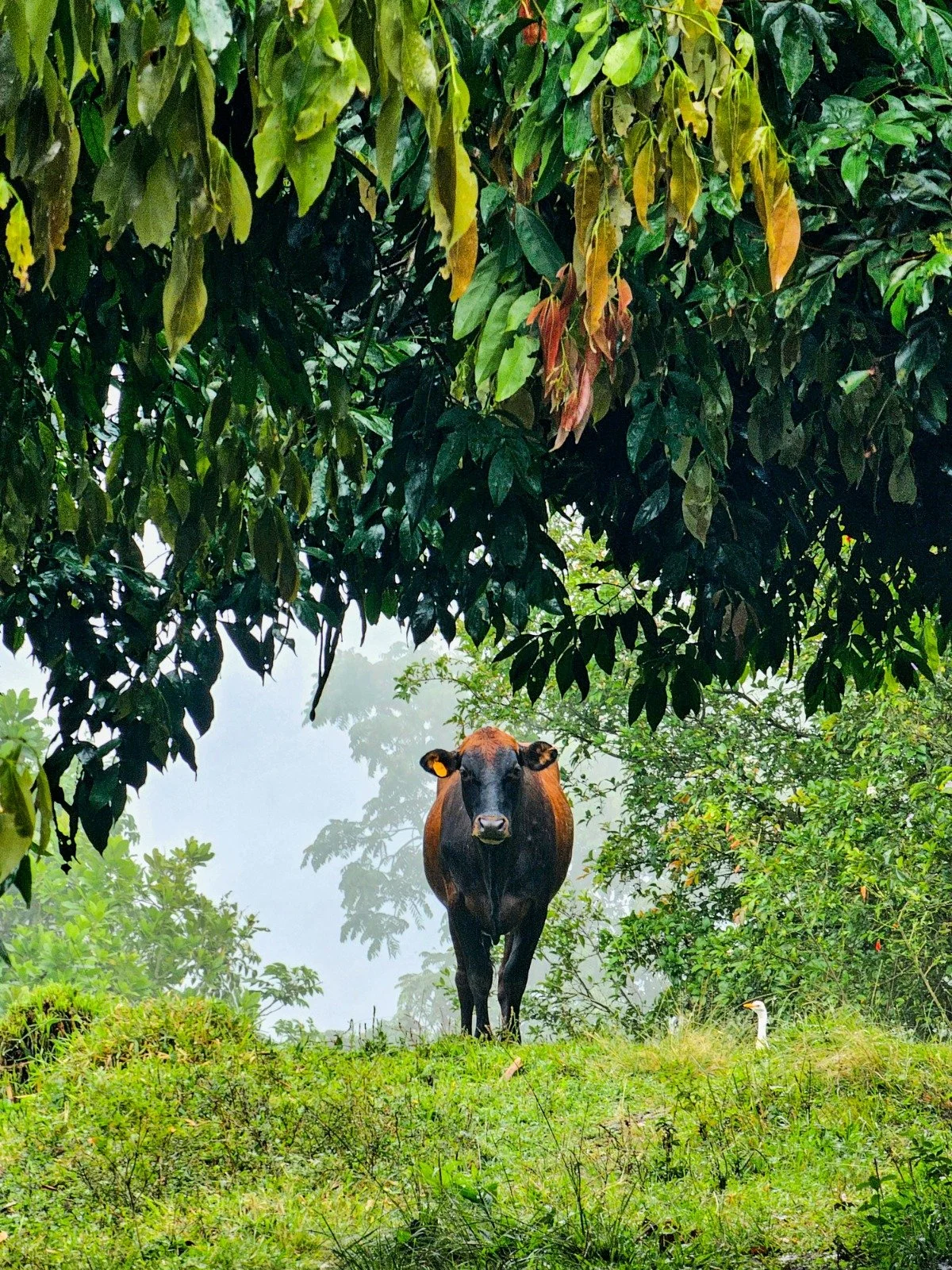 WhatsApp Image 2025-05-31 at 19.49.22.jpeg