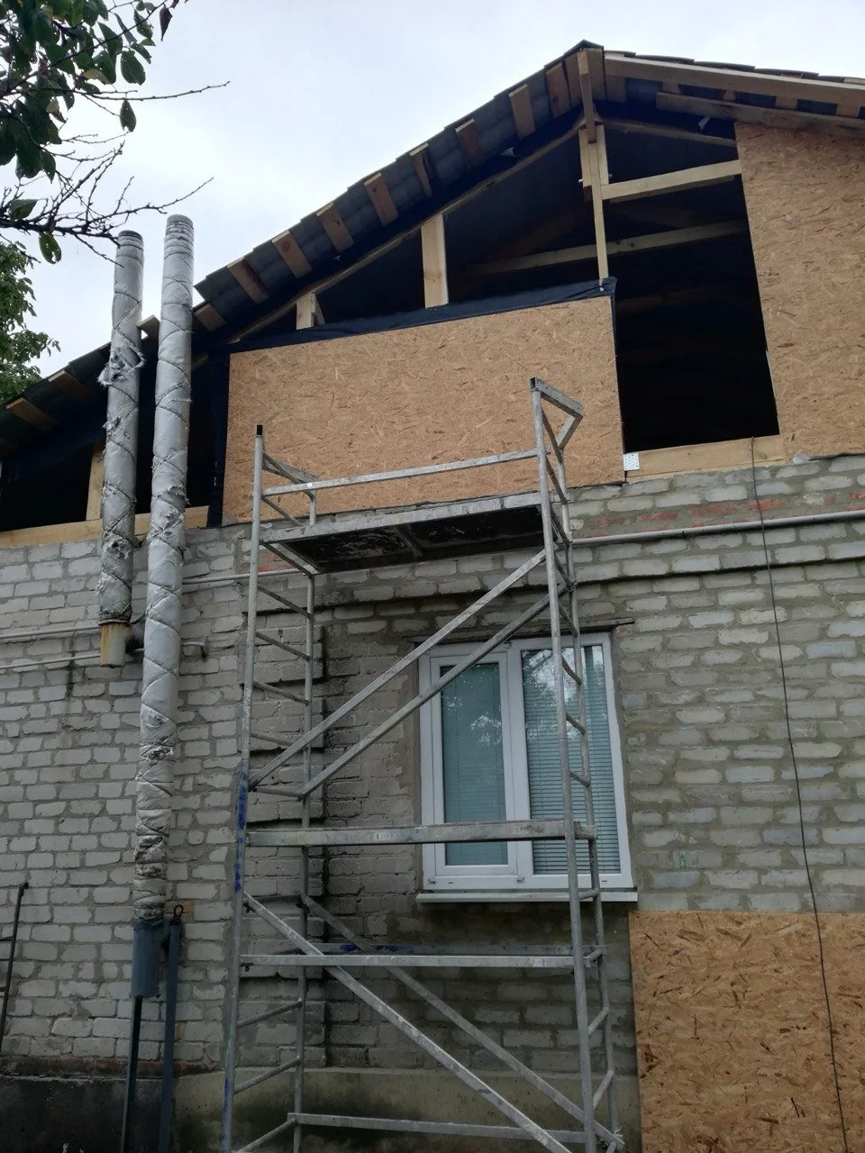 photo1709711841 (3).jpeg