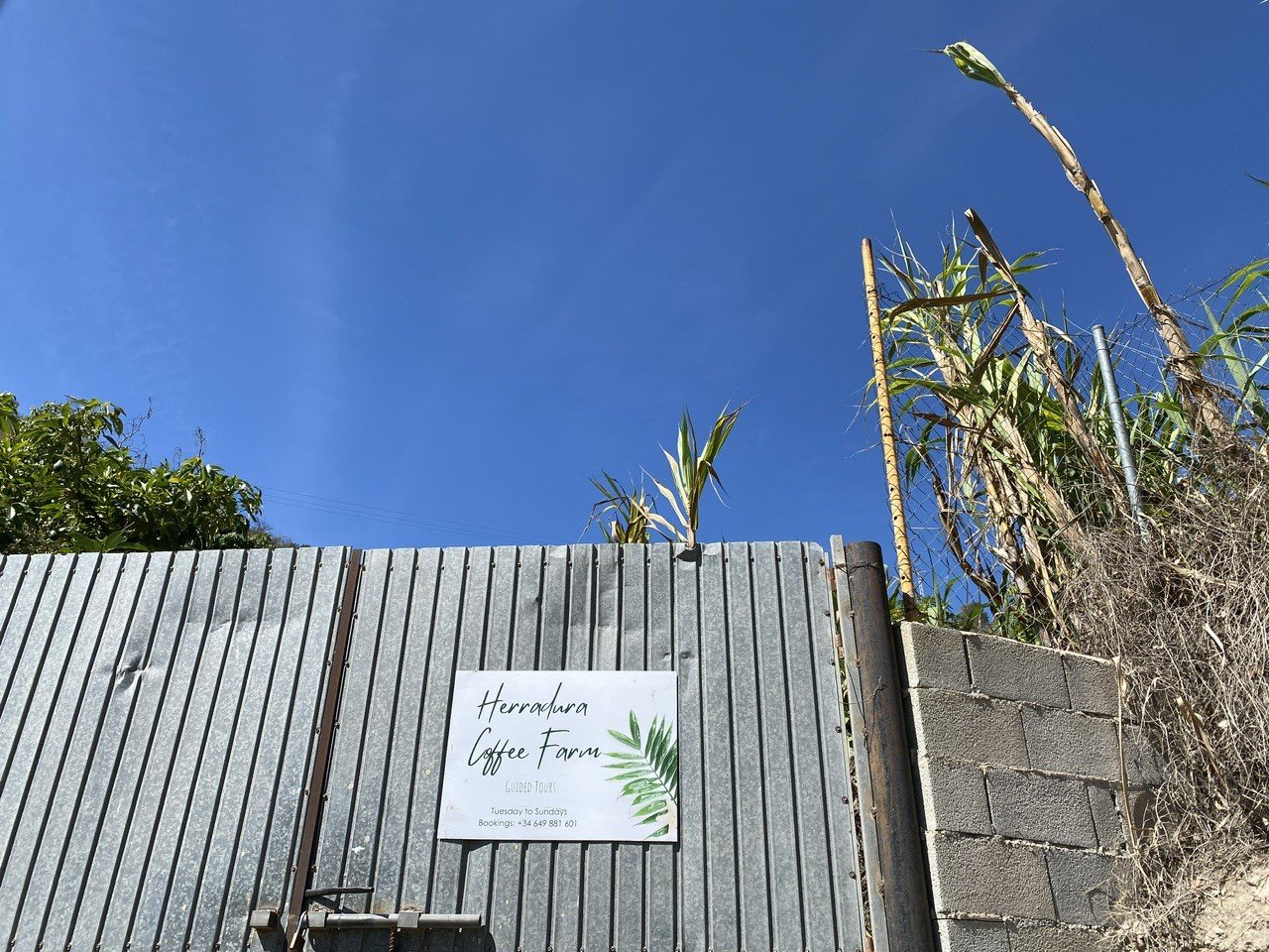 Europe’s 1st Coffee Farm