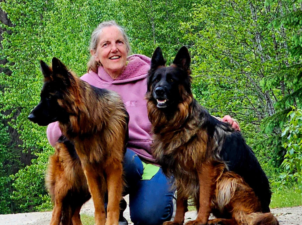 Woman smiling in a forest with two Long-Haired European German Shepherds, reflecting the breed's exceptional temperament, loyalty, and enduring bond with their owner.