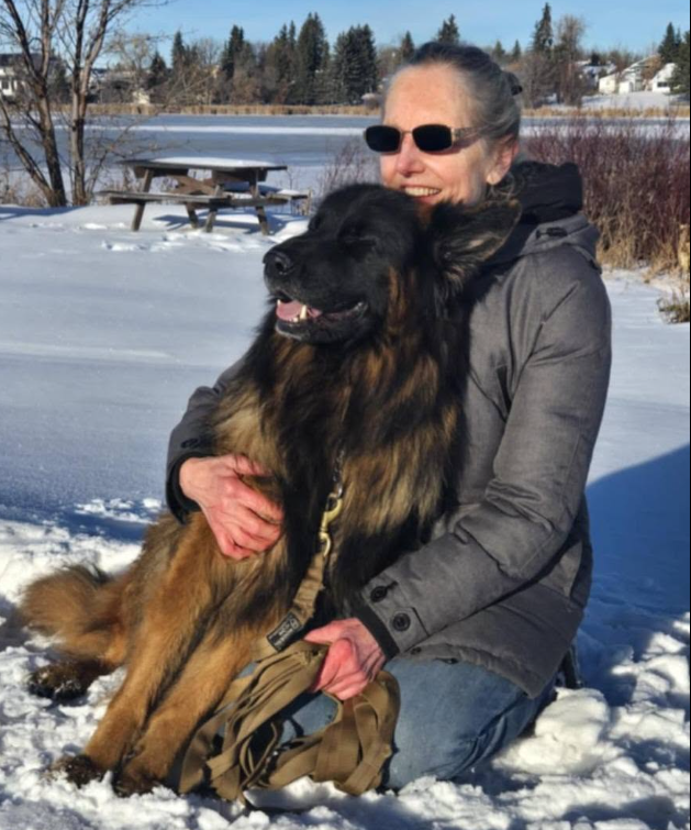 Woman embracing a Long-Haired European German Shepherd during winter, reflecting the trust, companionship, and exceptional temperament of Vom Eistobel's imported European bloodlines.