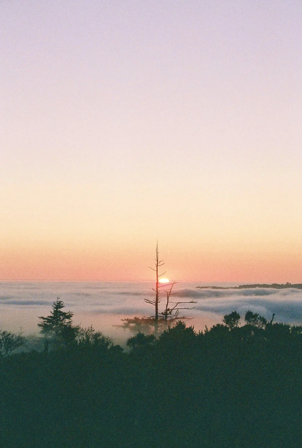 Santa Cruz 2