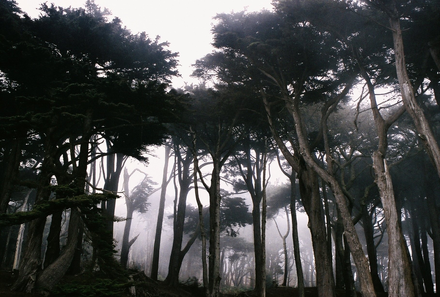 Lands End 1 