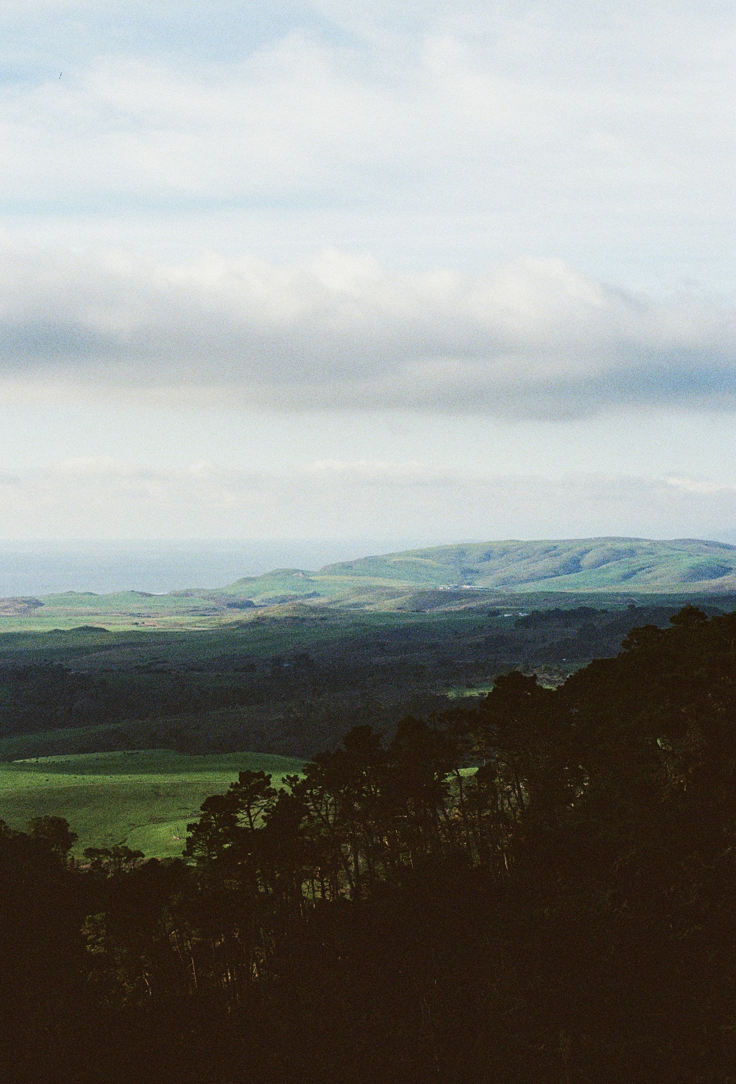 Marin 13