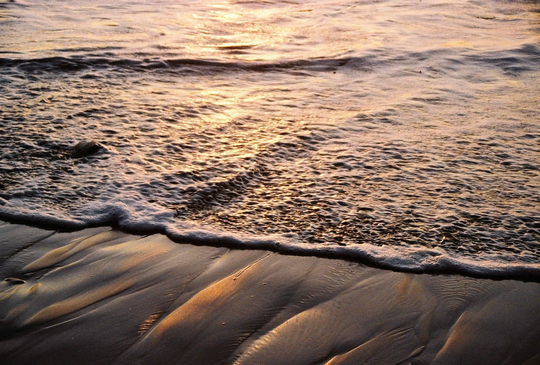 Santa Cruz