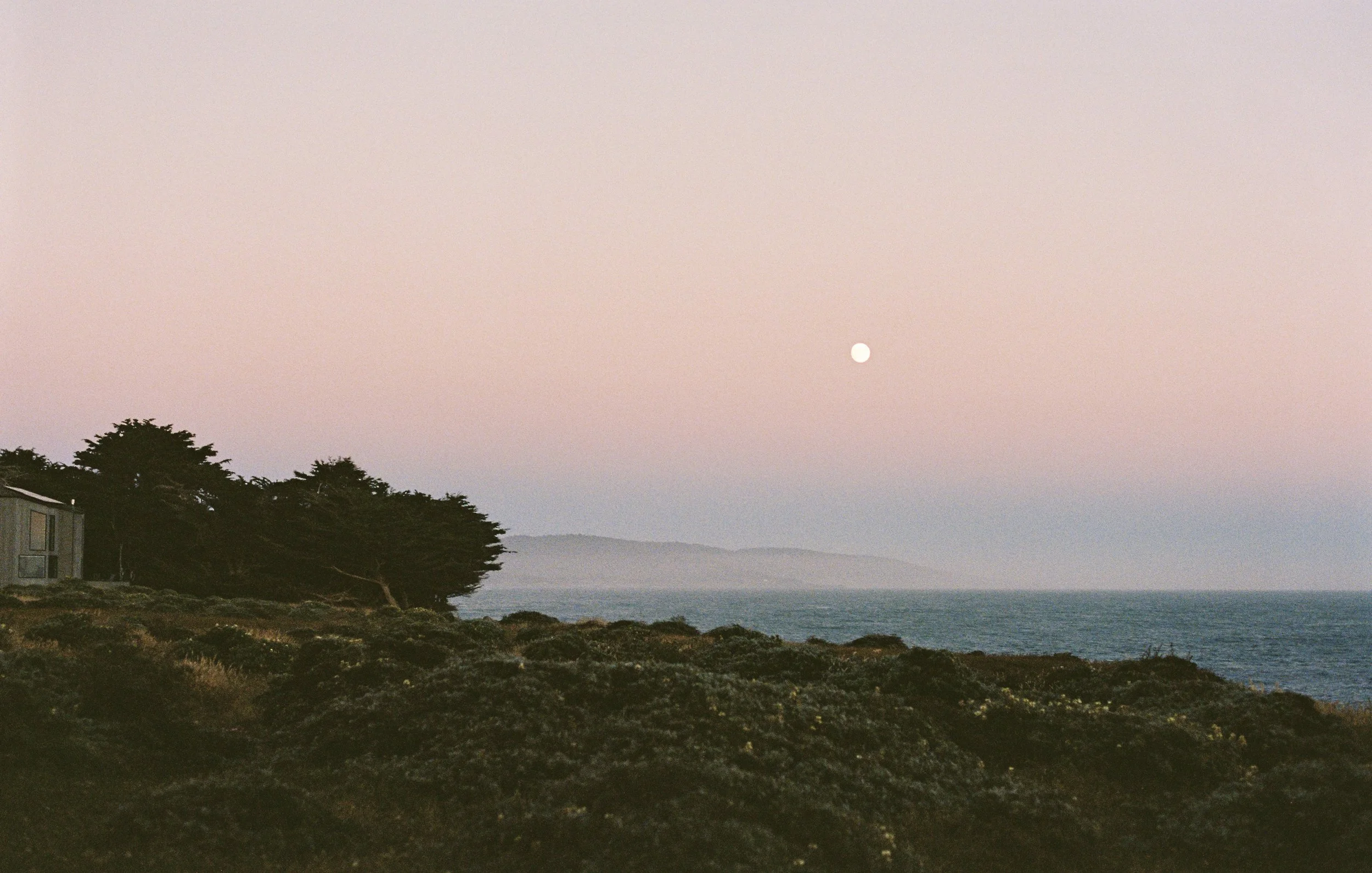 Sea Ranch 1