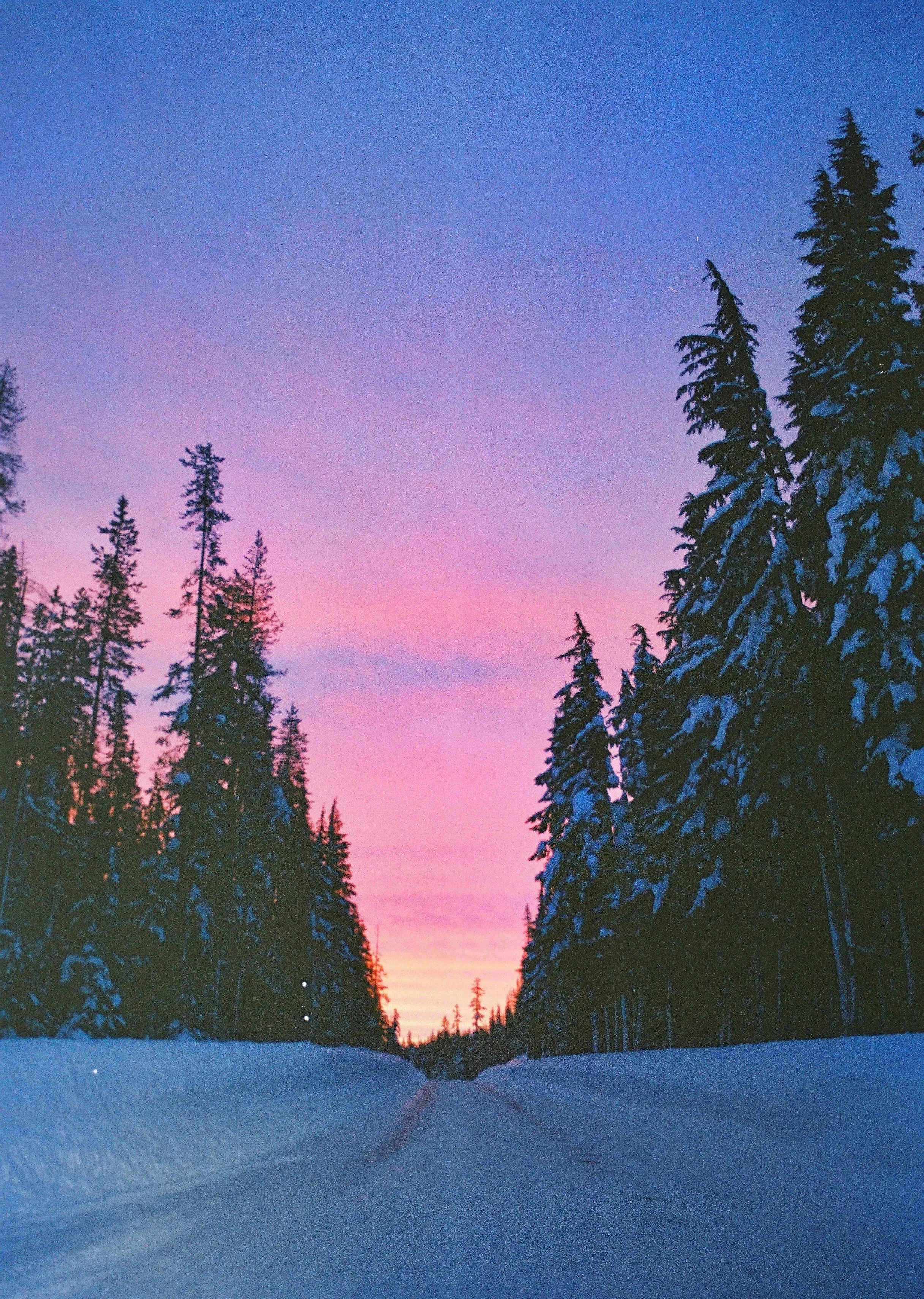 Washington Sunrise 