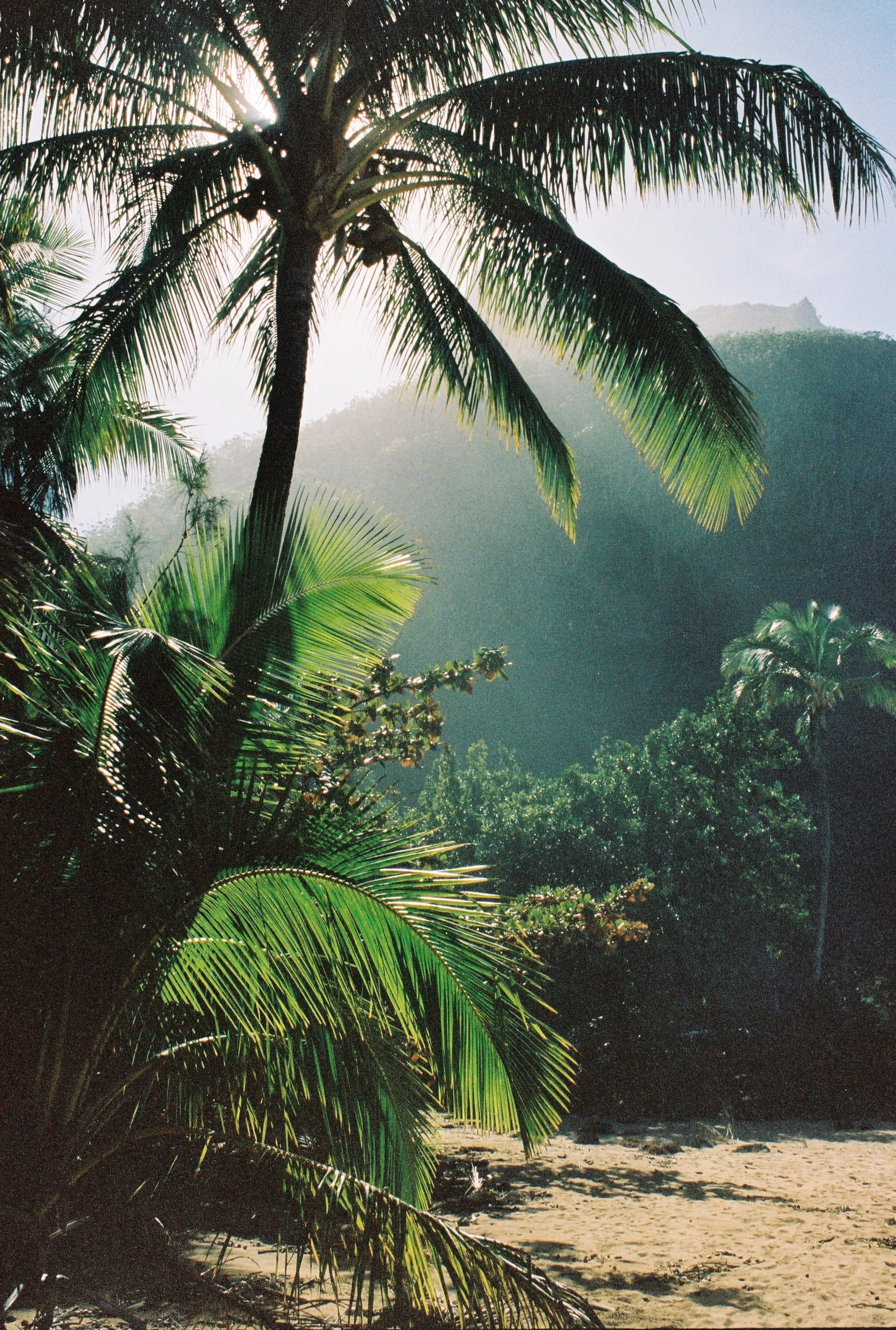 Kauai 1