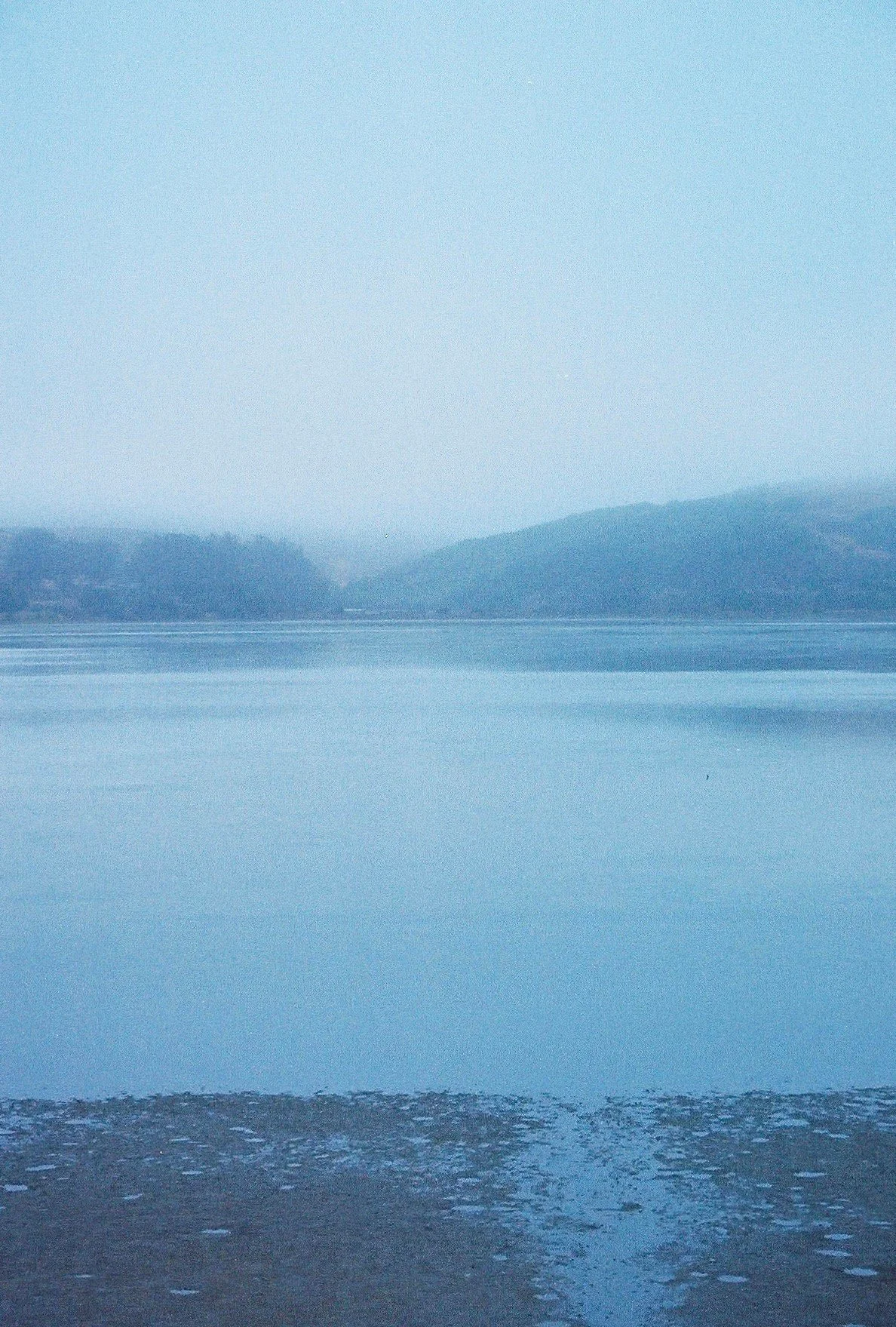 Marin 2