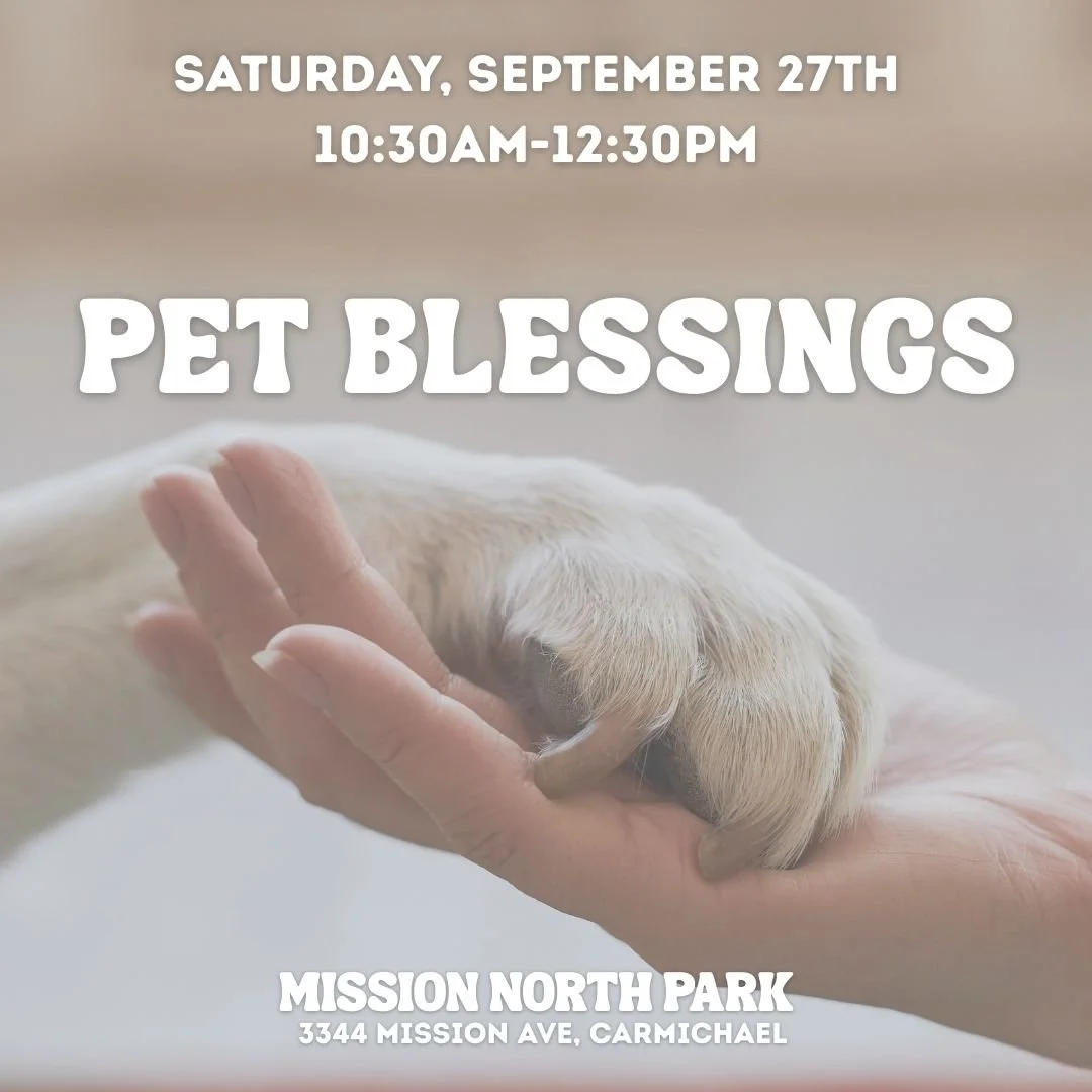 Pet Blessings