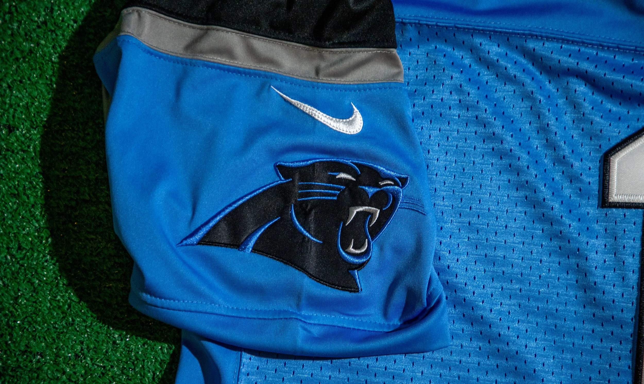 Cam Newton 13.jpg