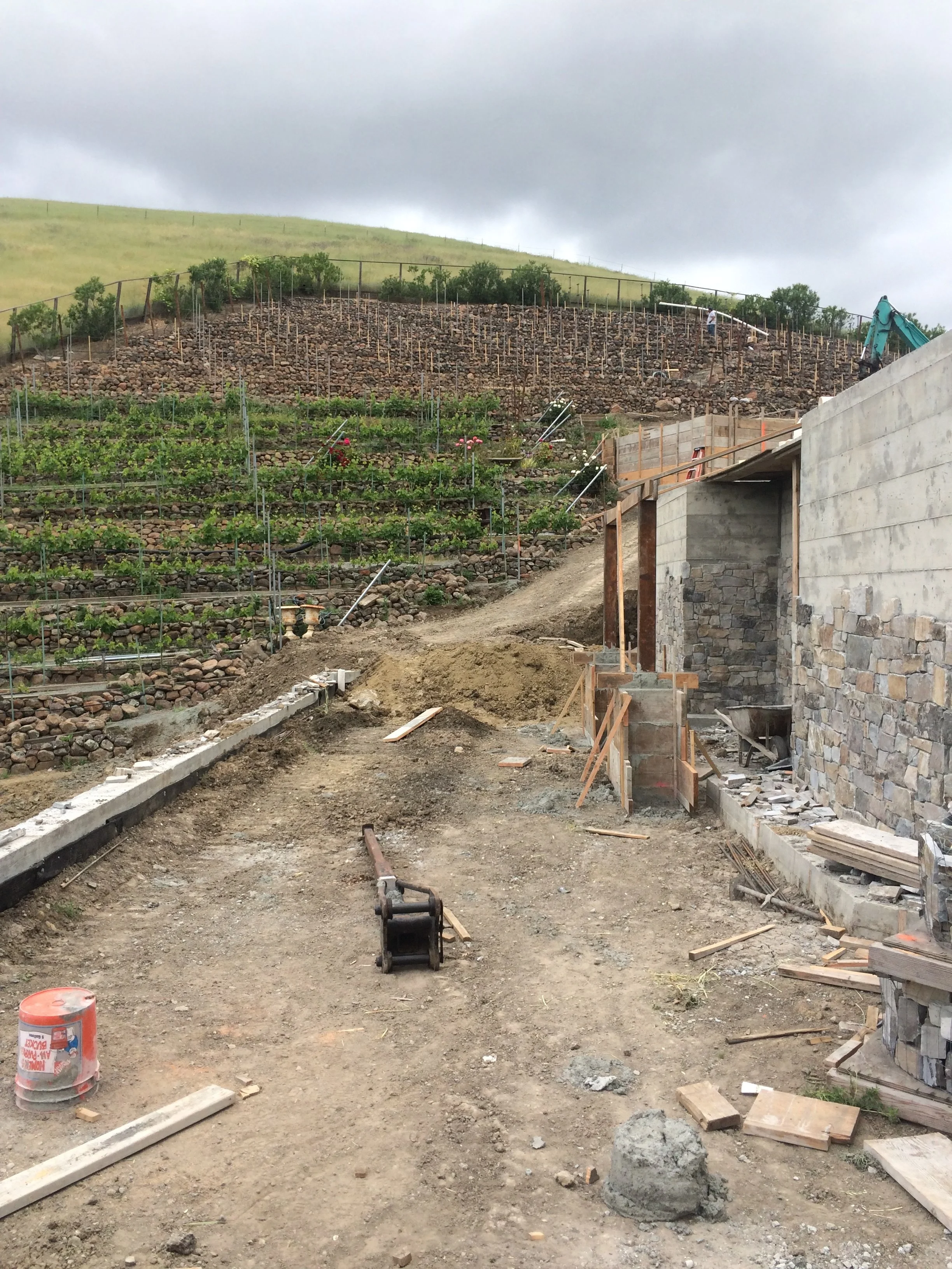 Photo Apr 29 2026, 9 35 23 AM.jpg