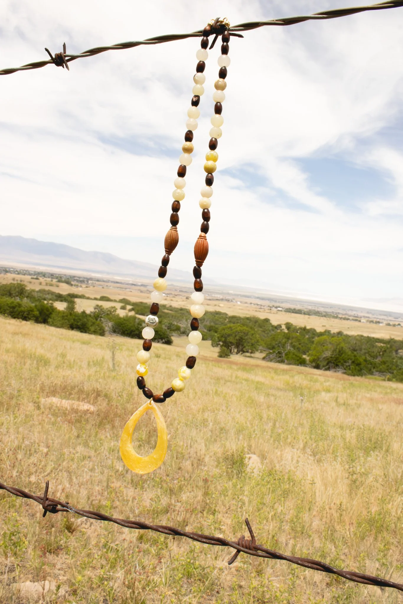 IMG_7552.jpg