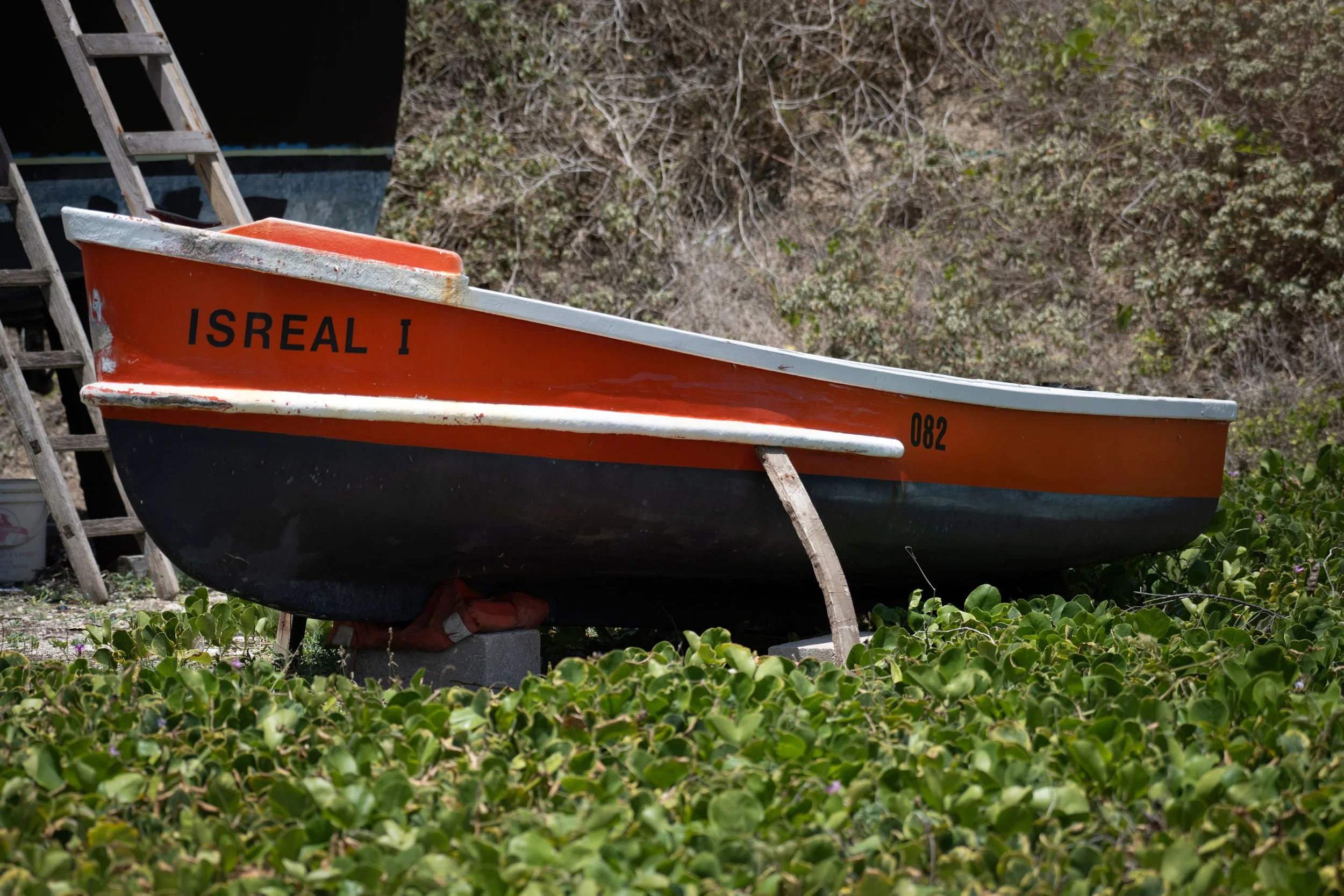Moses boat at Bathsheba