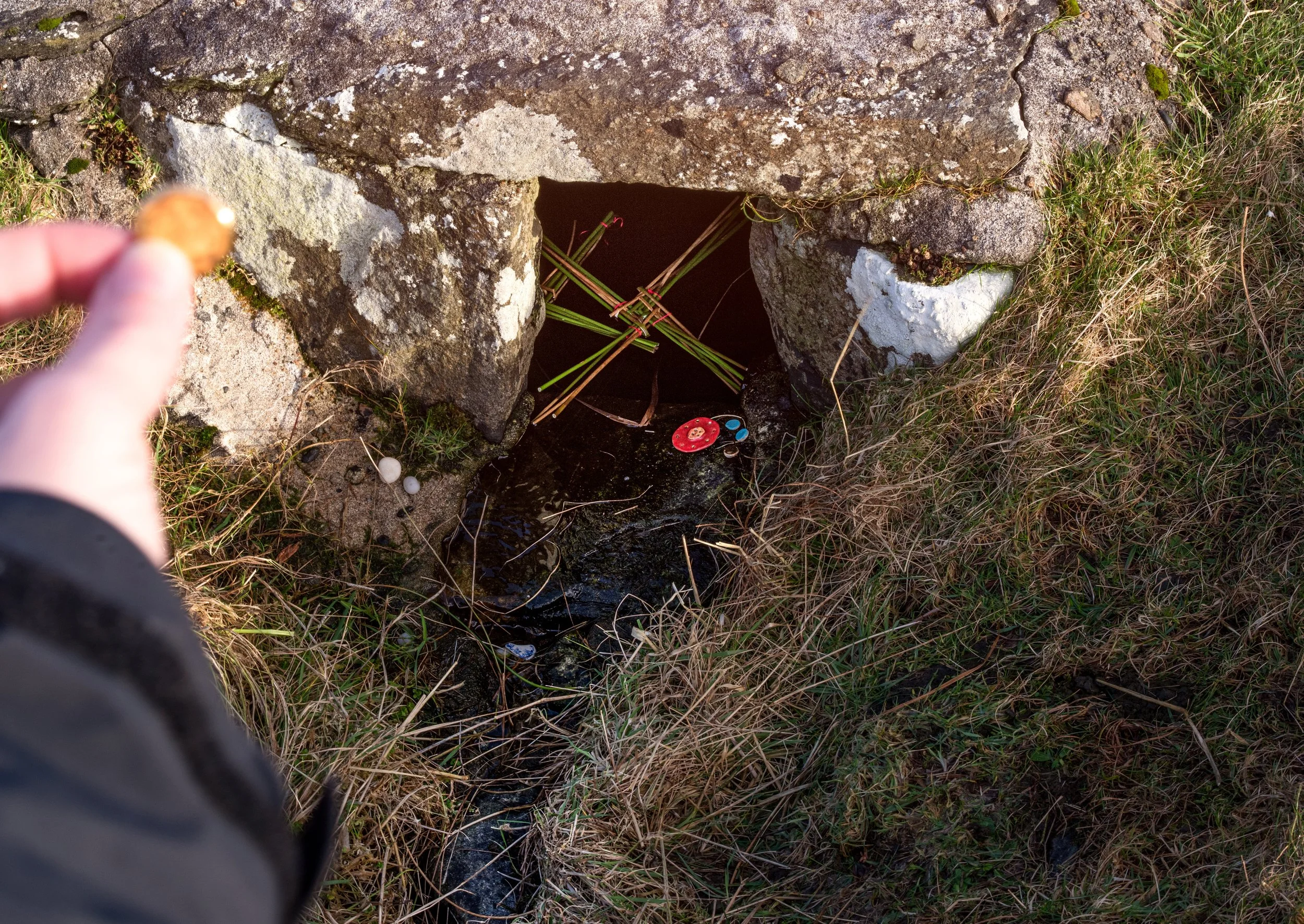 At Imbolc, paying respects to a second sea saint, Brighde who was said to have been propelled across the Irish sea by the beating of an oystercatcher's wings.