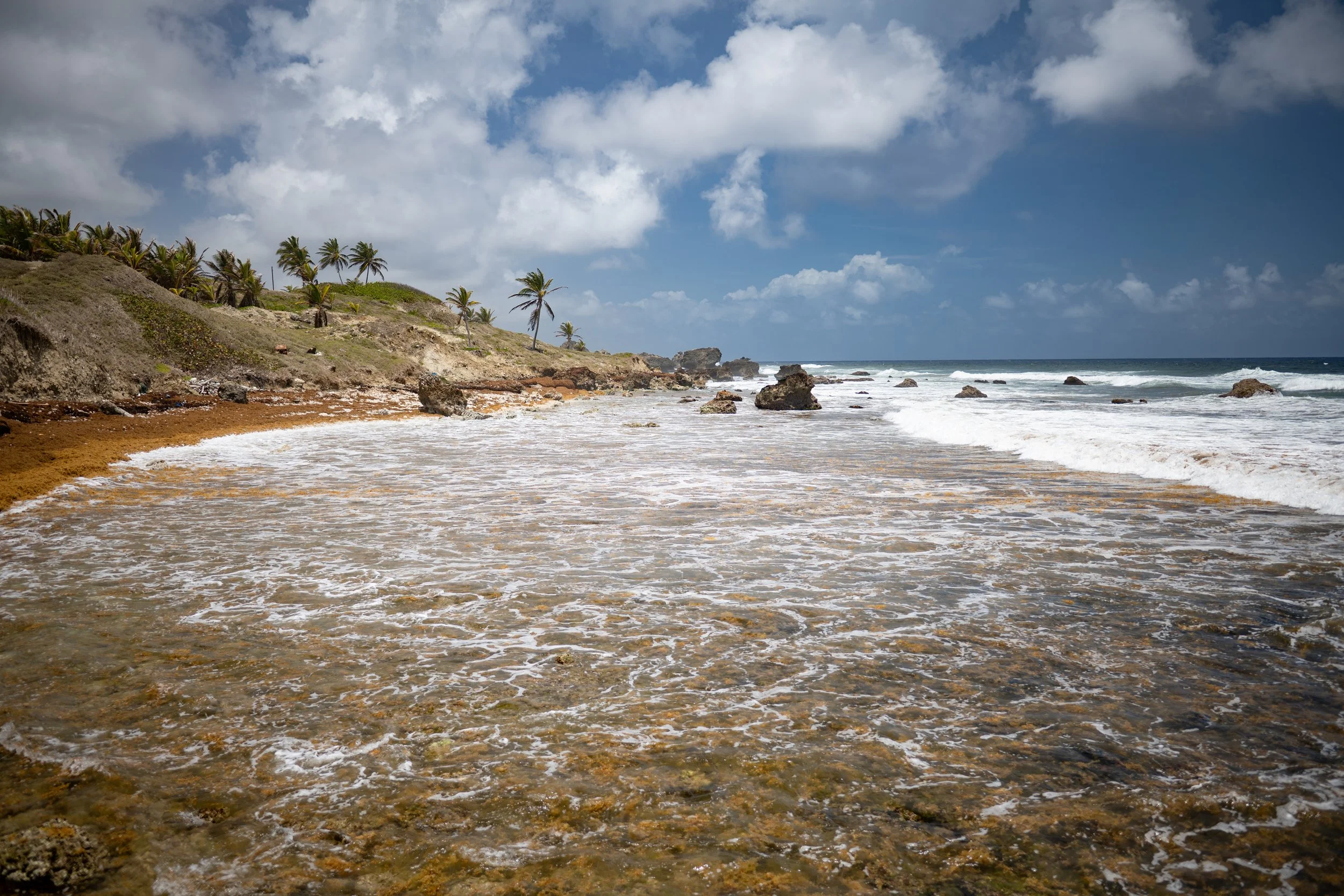 Surf south of Bathsheba