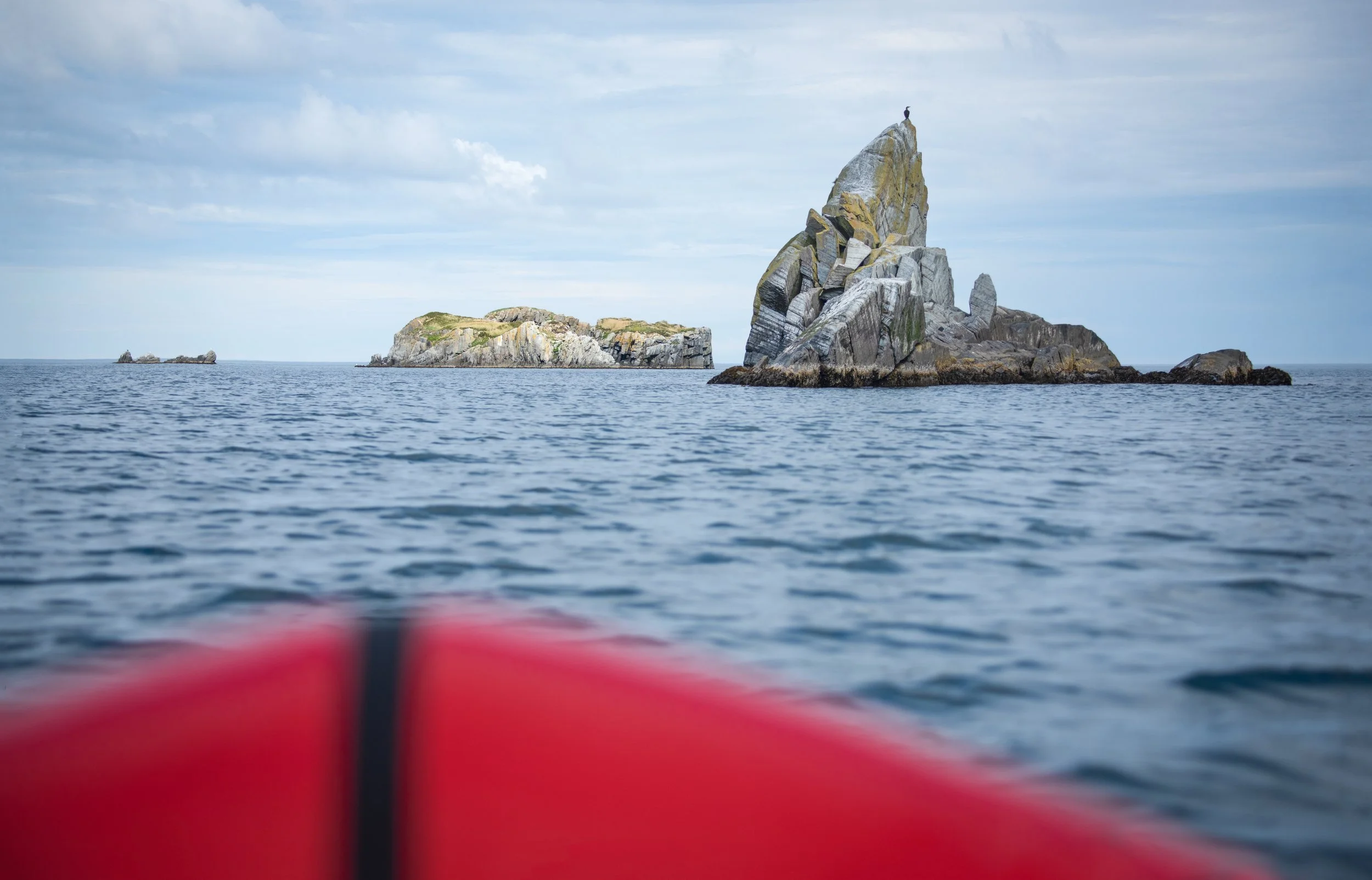 Carbonear Island