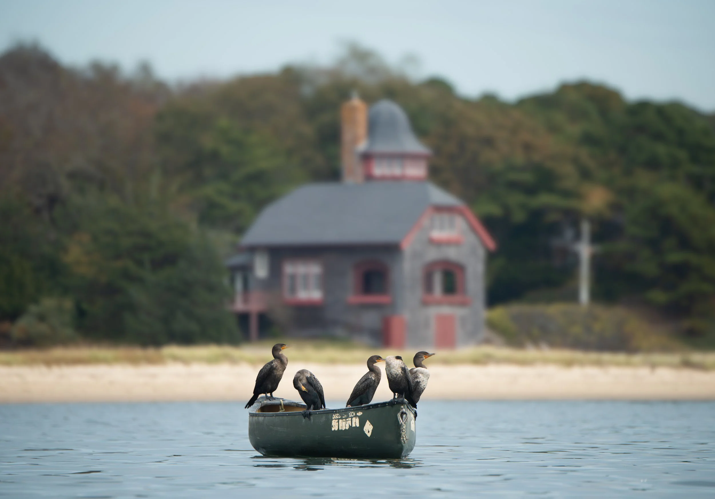 Cape Cod