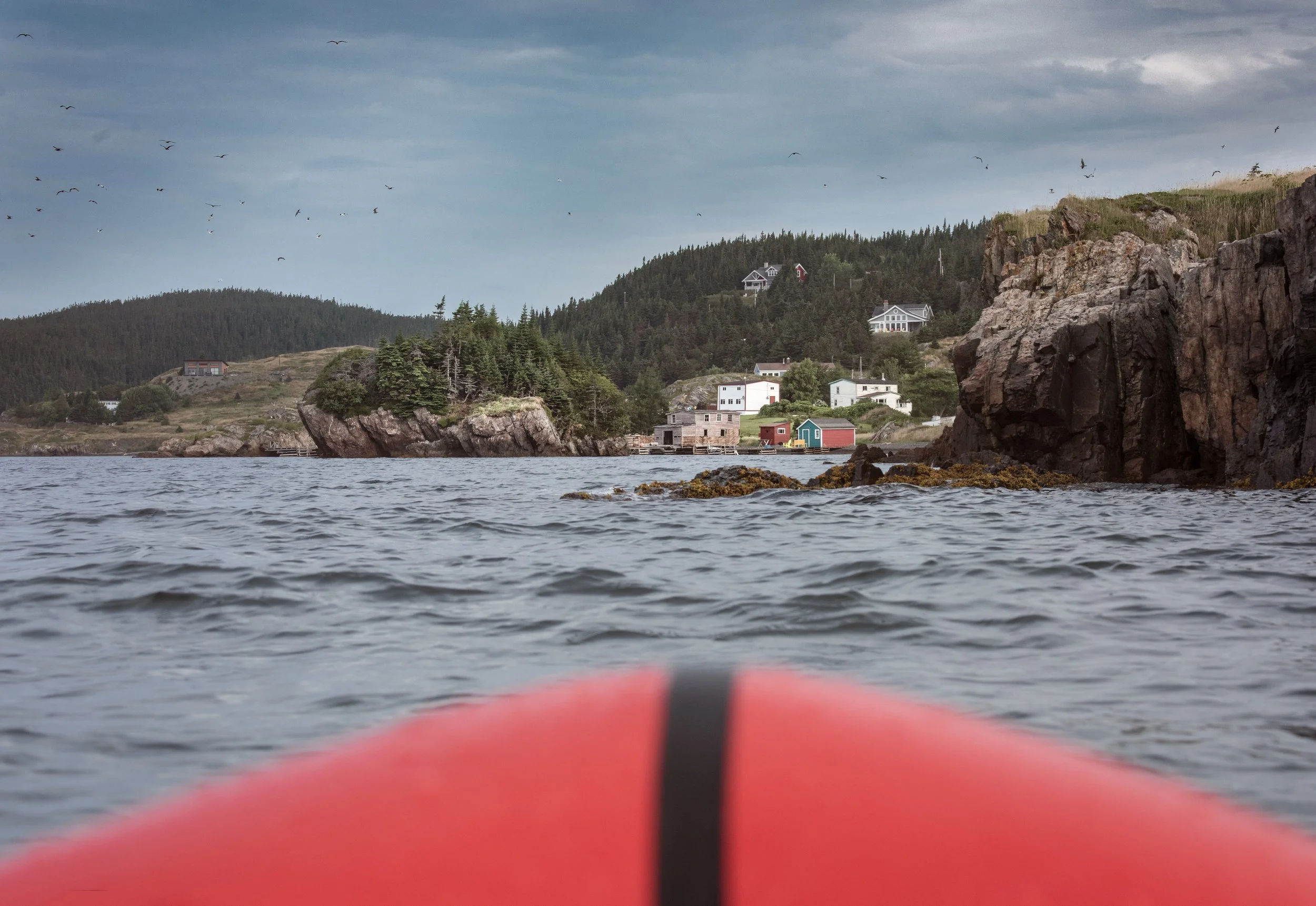 Trinity Bay, Newfoundland