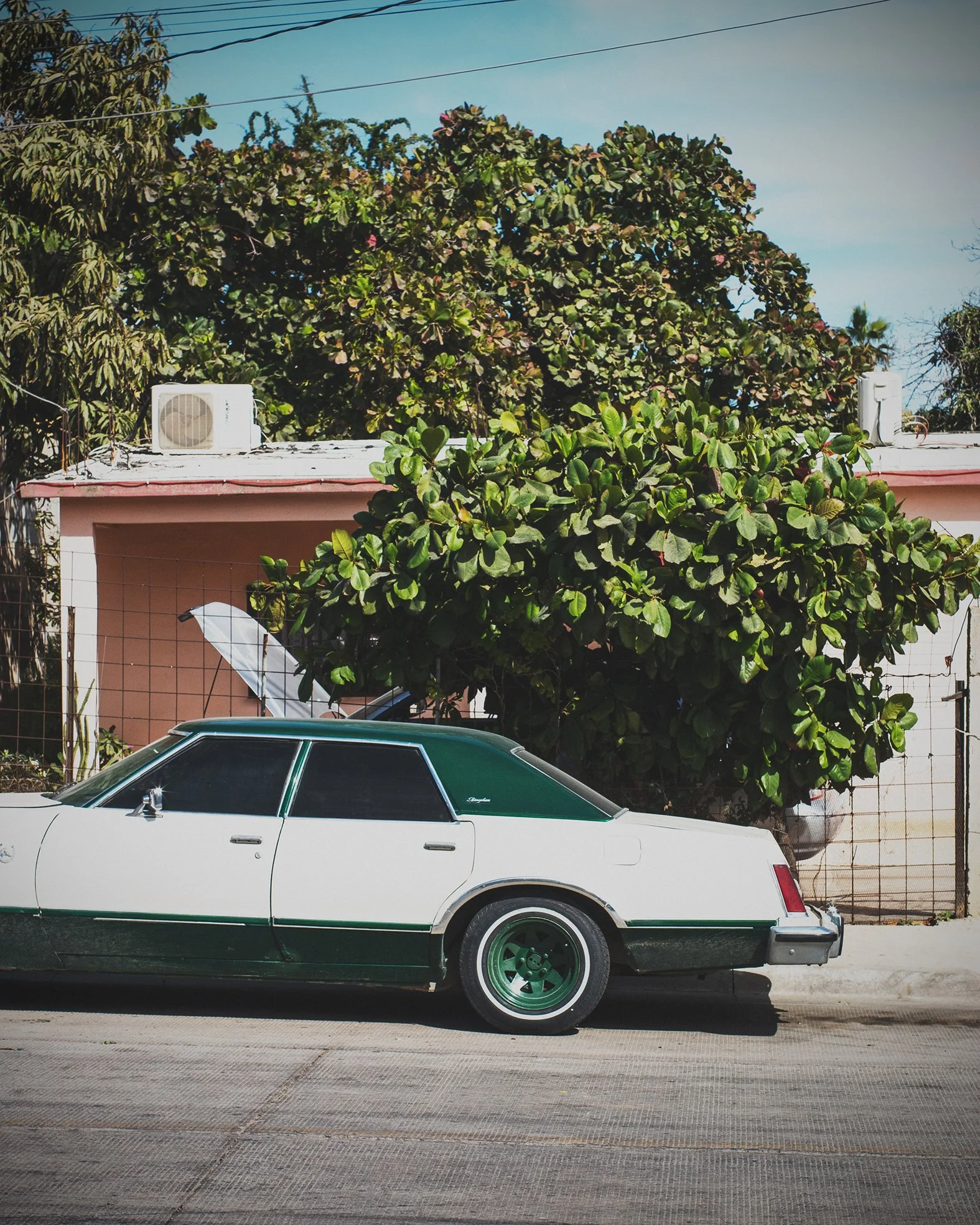 Cabo San Lucas ⎜Eclectic photographs