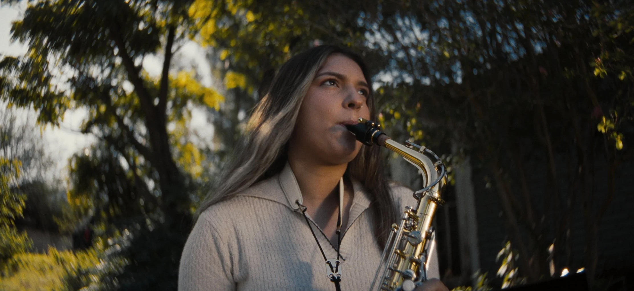 Orquestas_DP_1.1.19.jpg