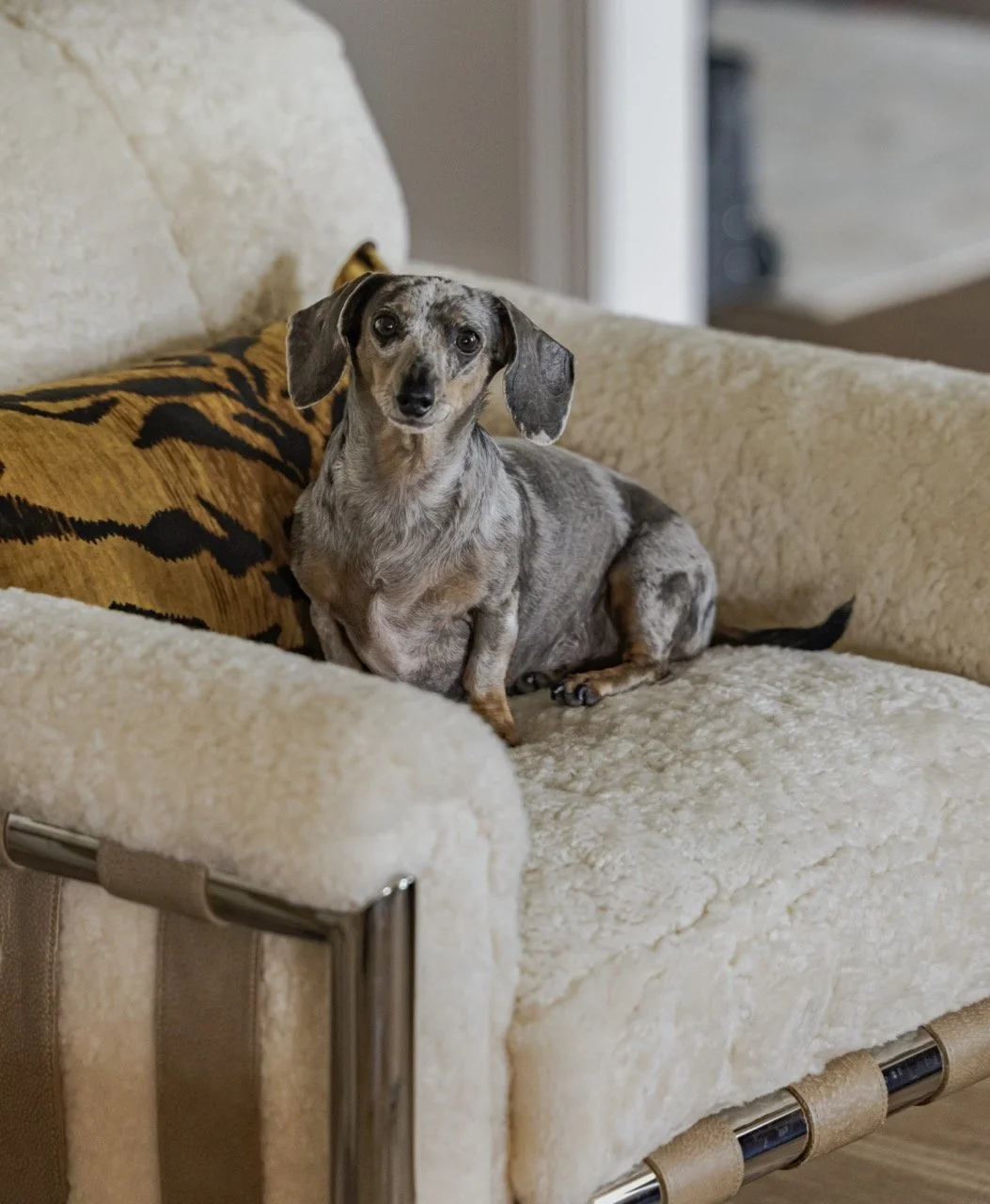 z20250729.145355 Large.jpeg