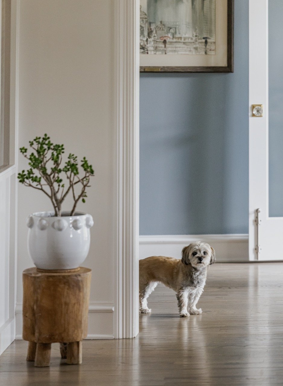 z20250729.145749 Large.jpeg