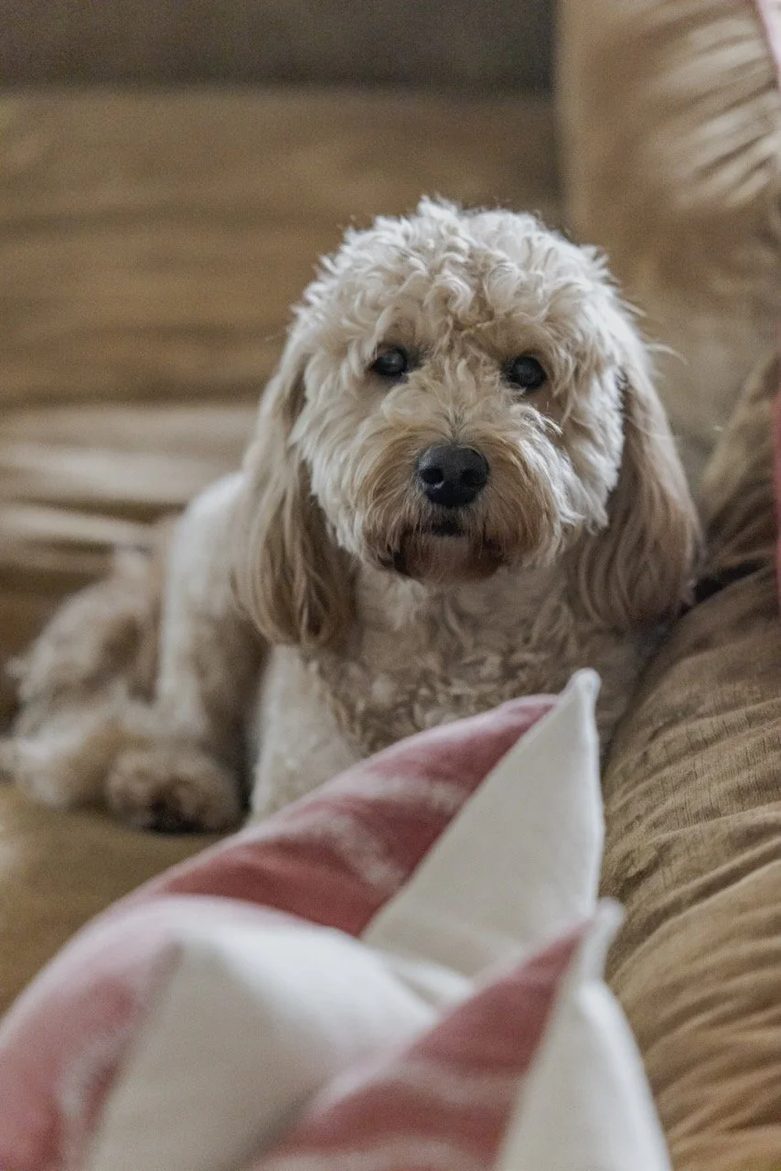 z20250729.145505 Large.jpeg