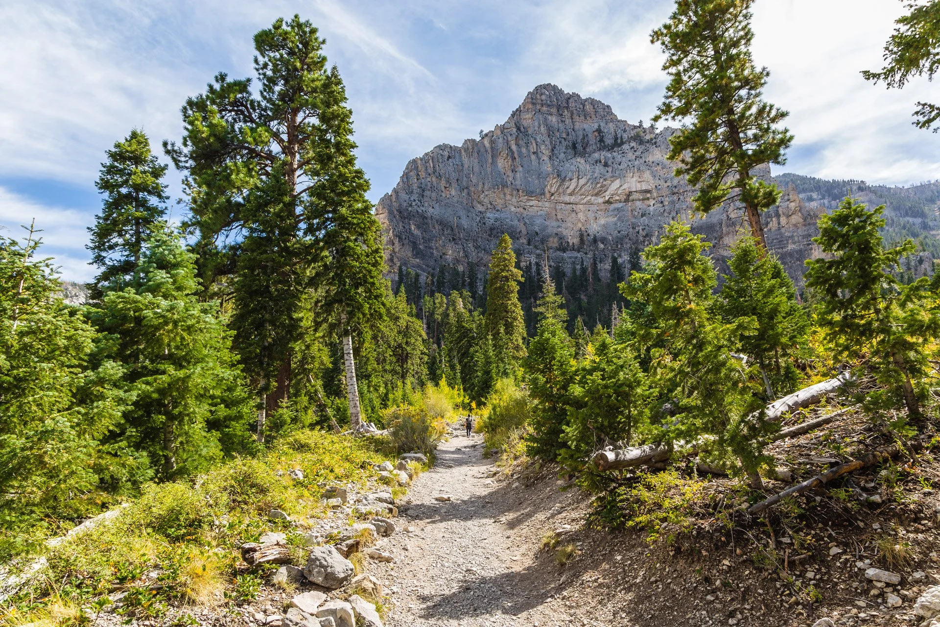 fallMtCharleston-3.jpg