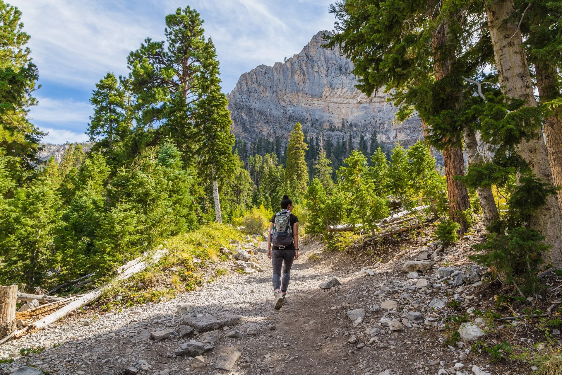 fallMtCharleston-1.jpg