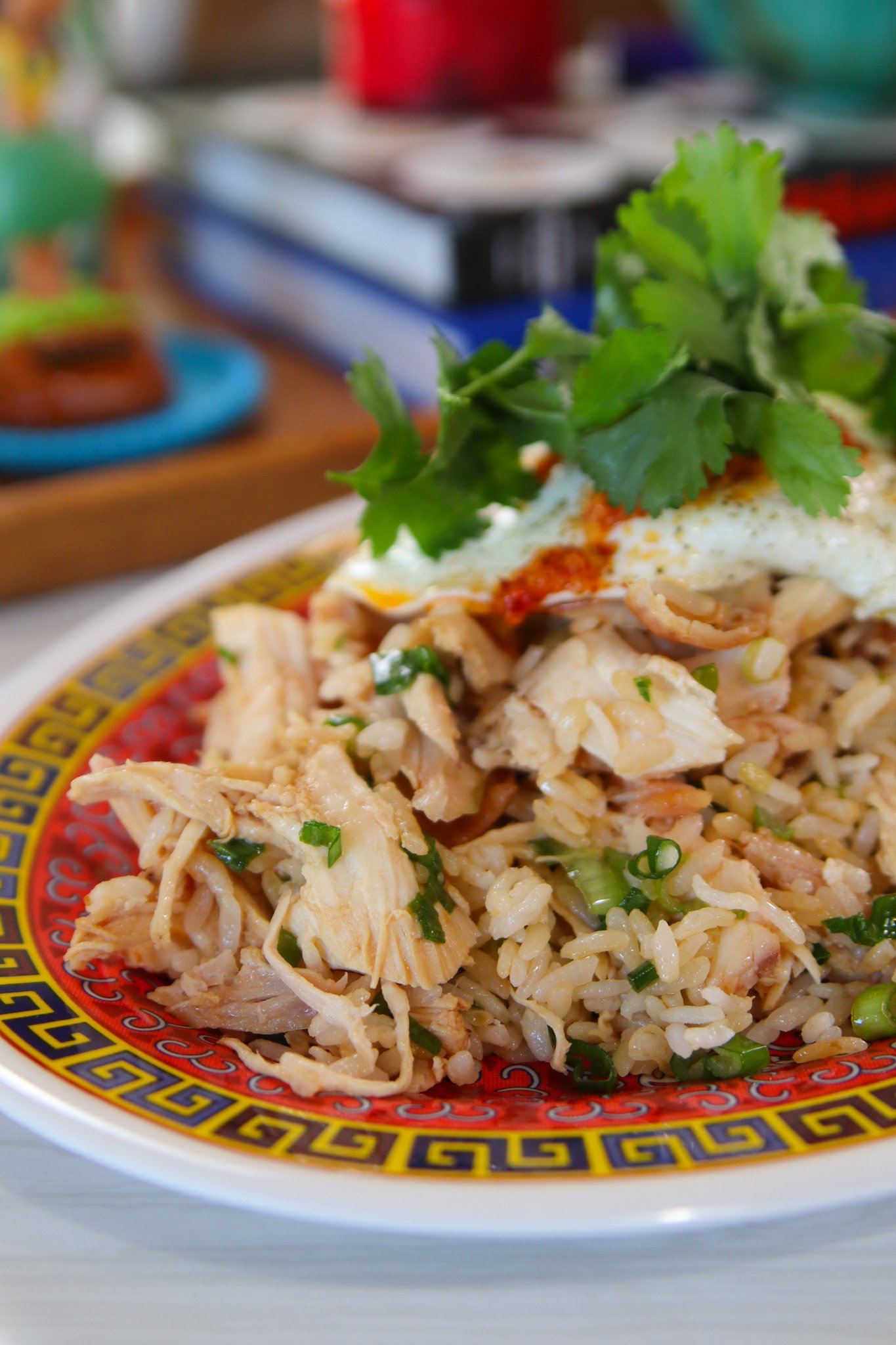 Scallion Chicken & Rice