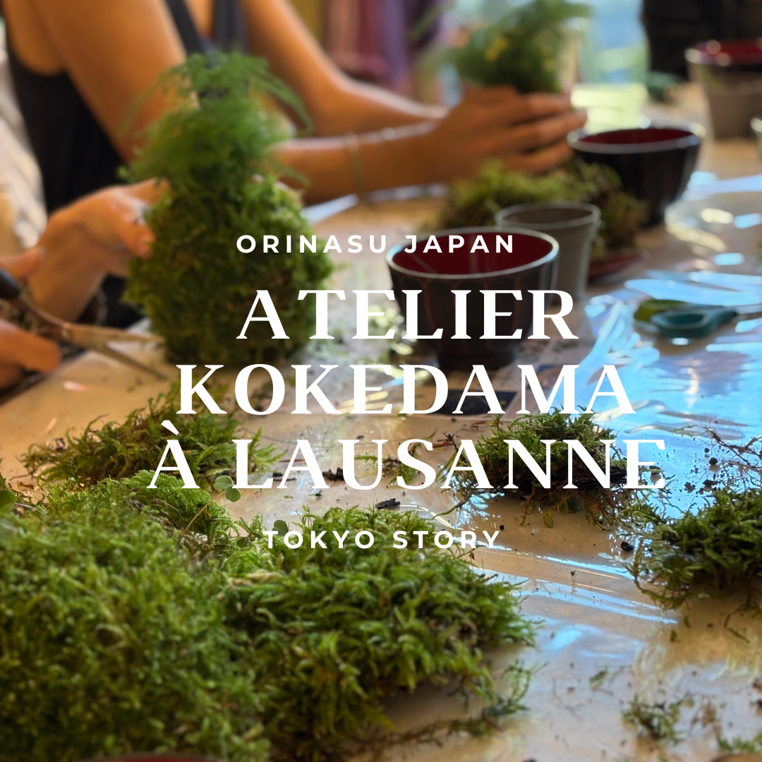 Atelier kokedama Lausanne