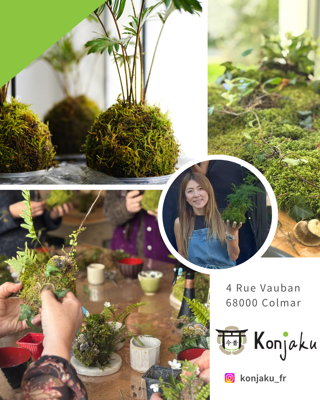 Work shop kokedama à Colmar - Alsace