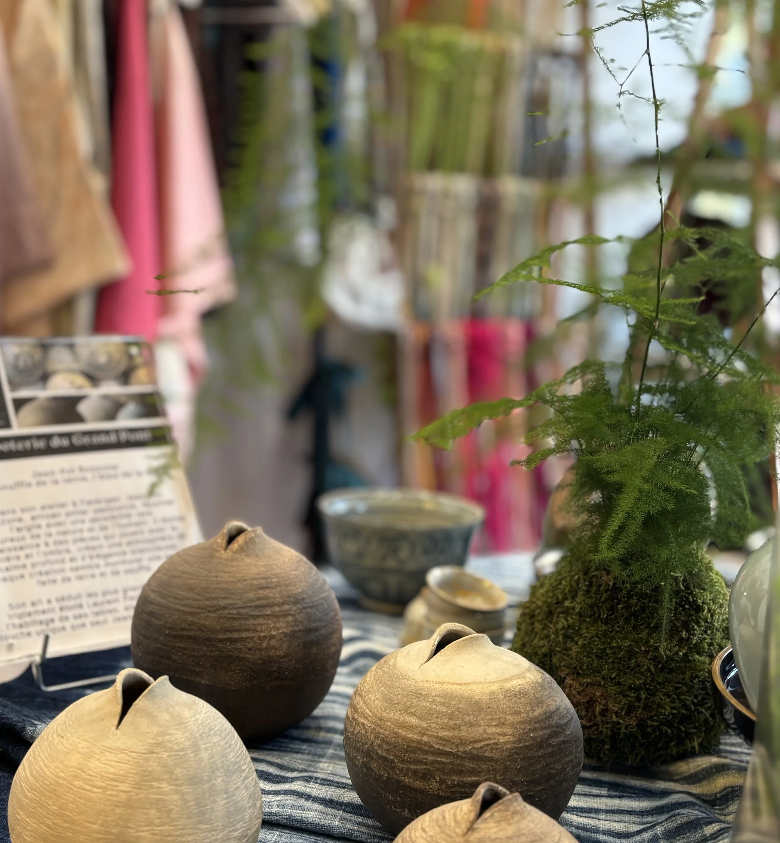 L’harmonie de la nature et de la poterie