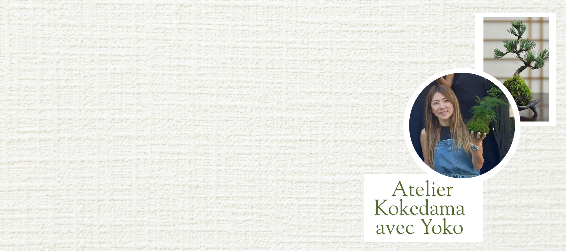 Découvrir et créer le kokedama avec Yoko